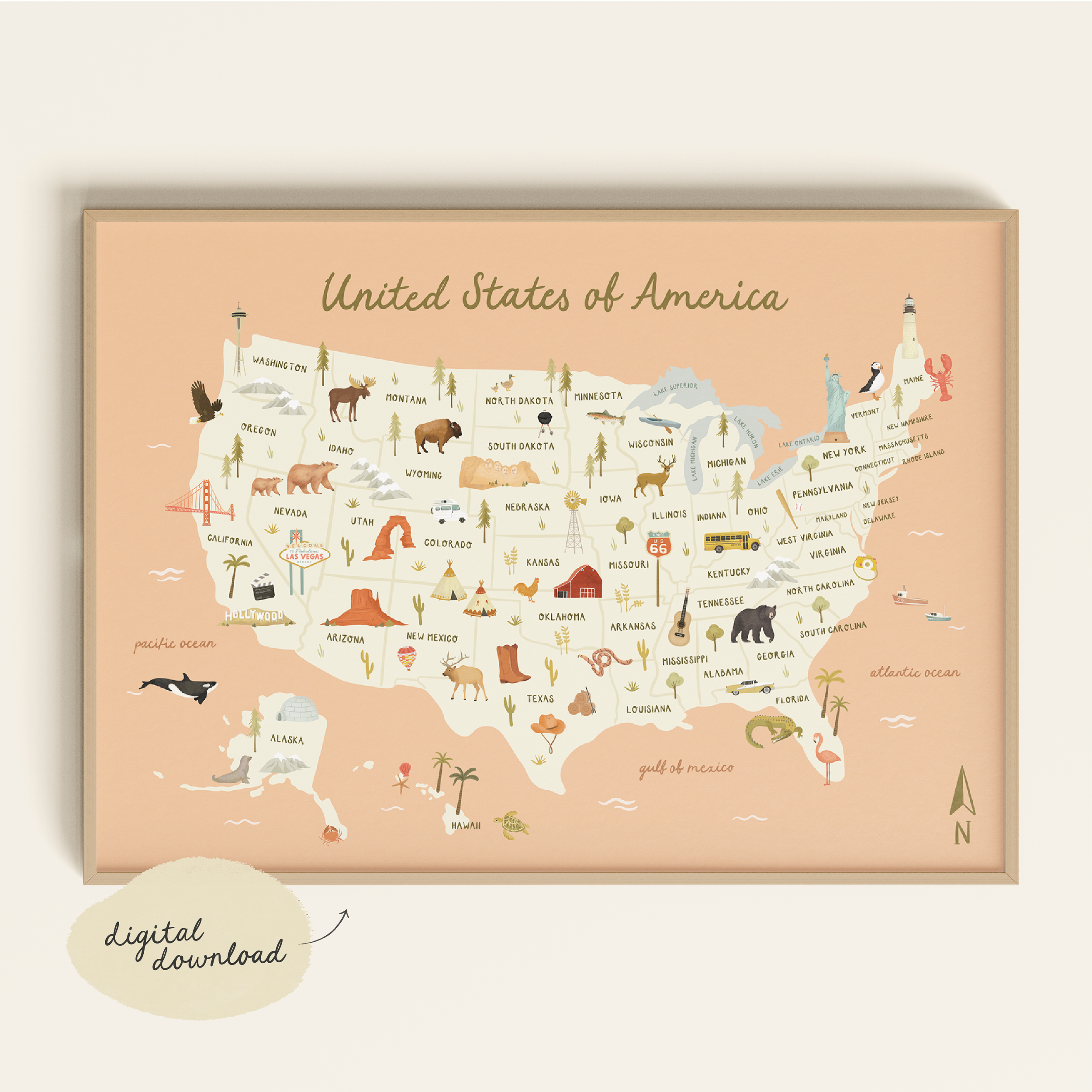 ILLUSTRATED MAP OF USA