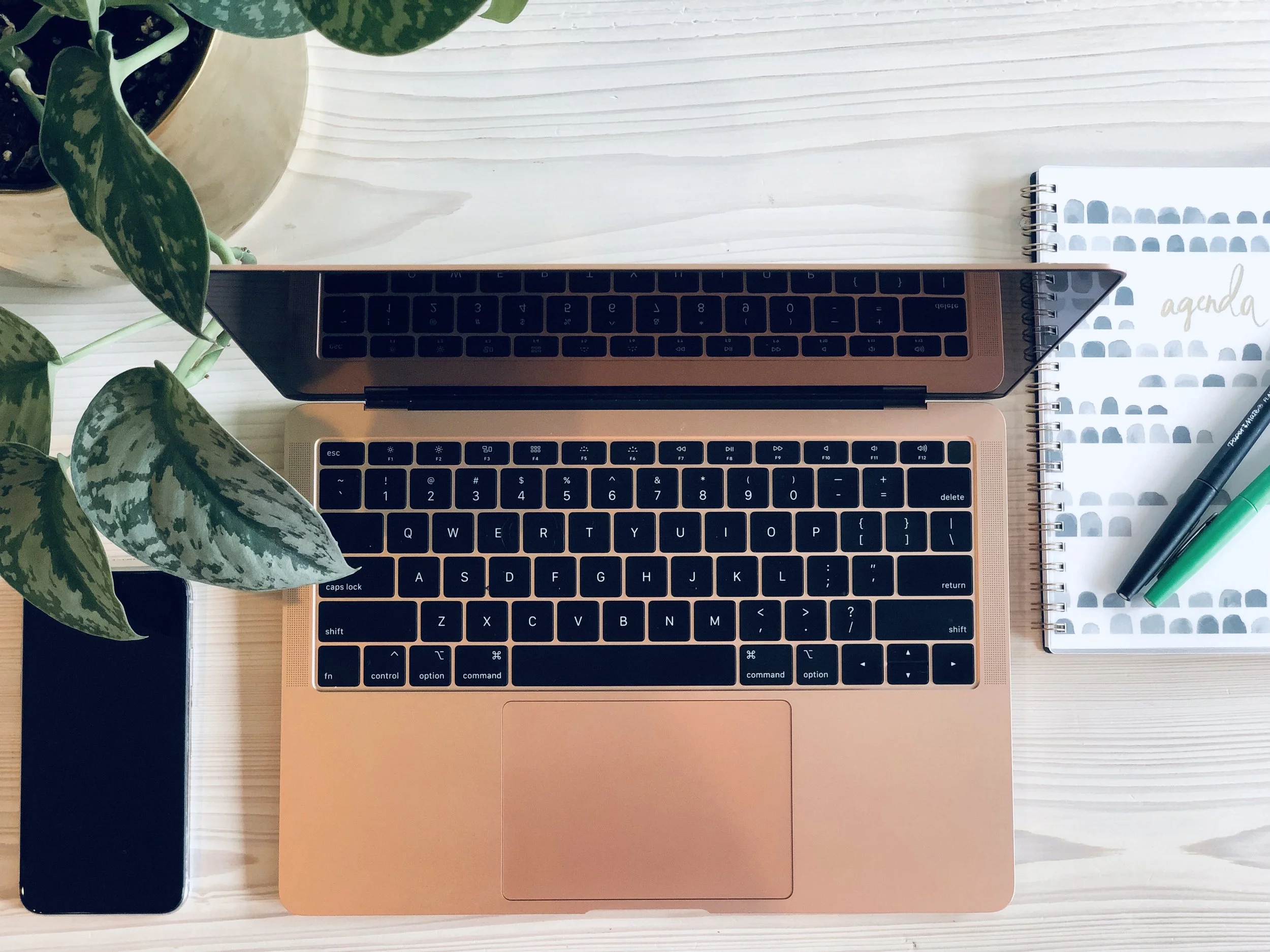 Previous Clients | Sorted Professional Organizing in New Orleans