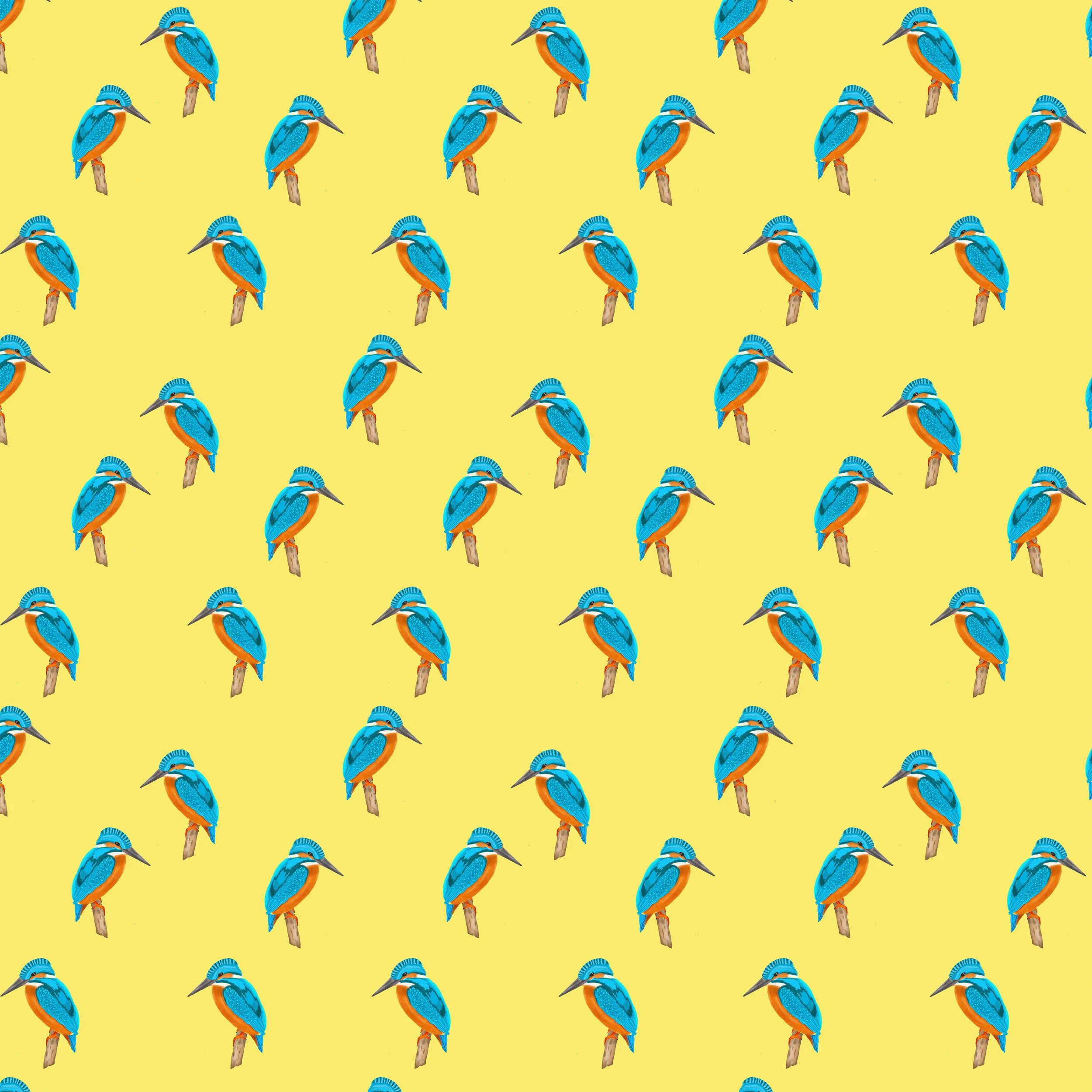 Kingfisher_BYellow.jpg