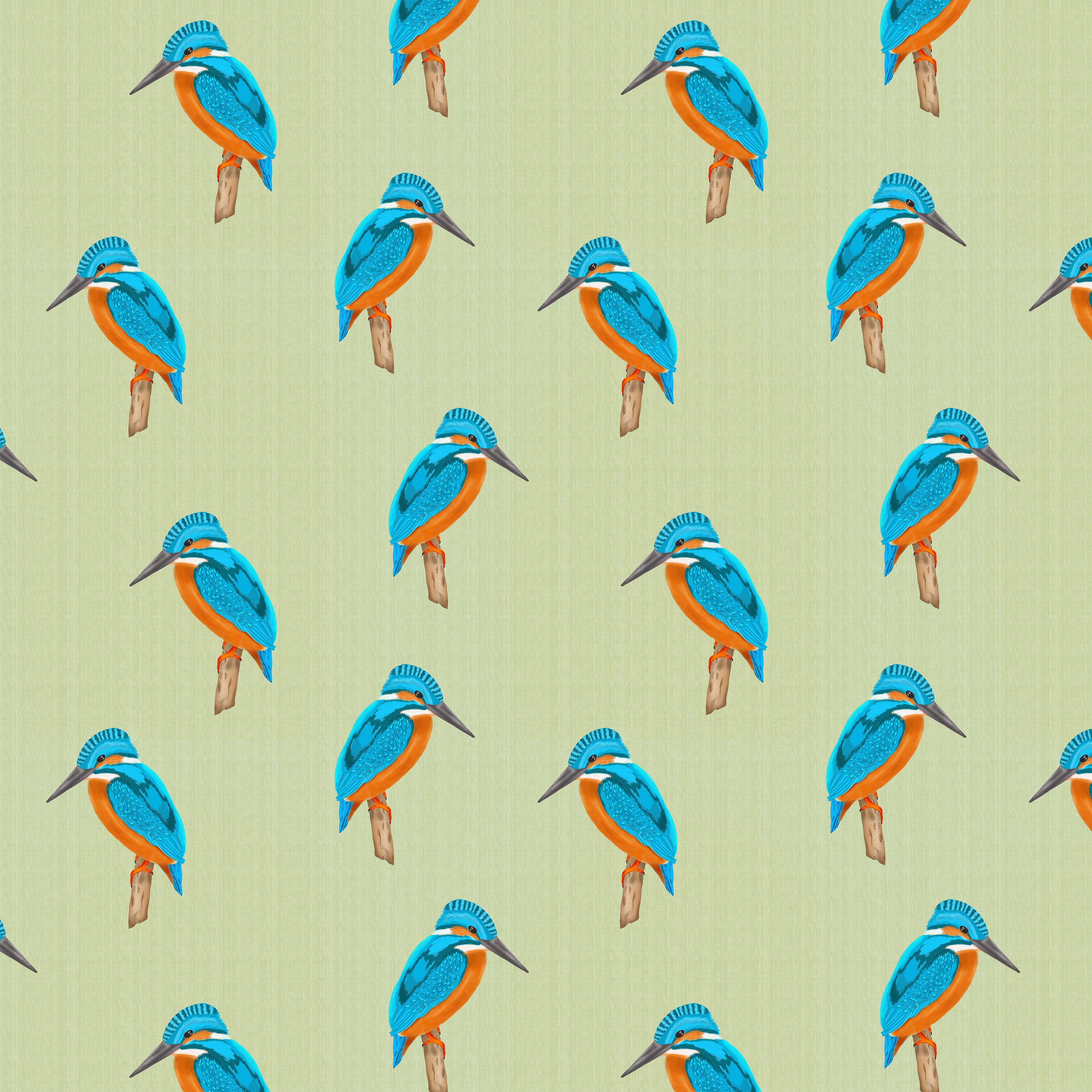 Kingfisher_1.jpg
