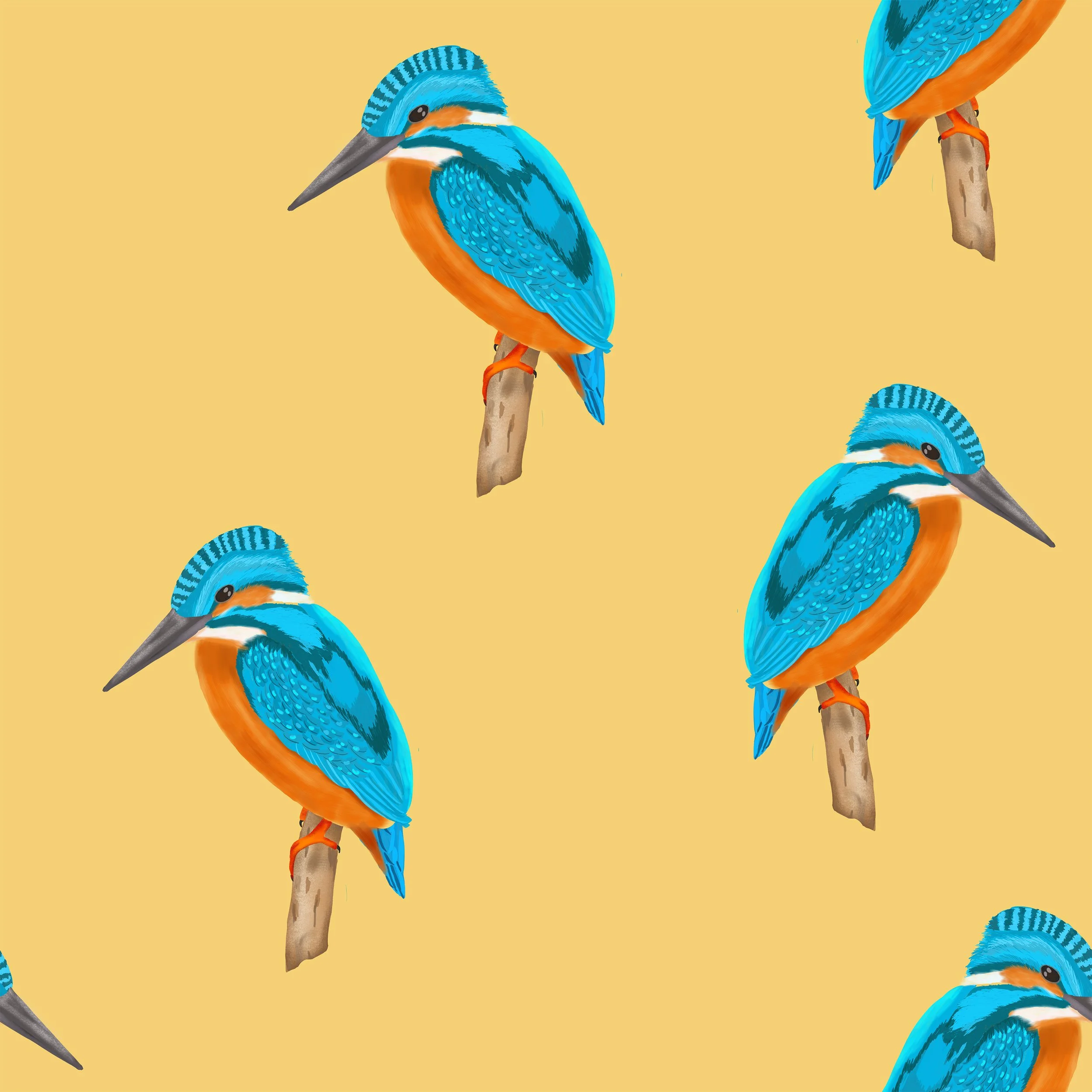 Kingfisher pattrn _1.jpg