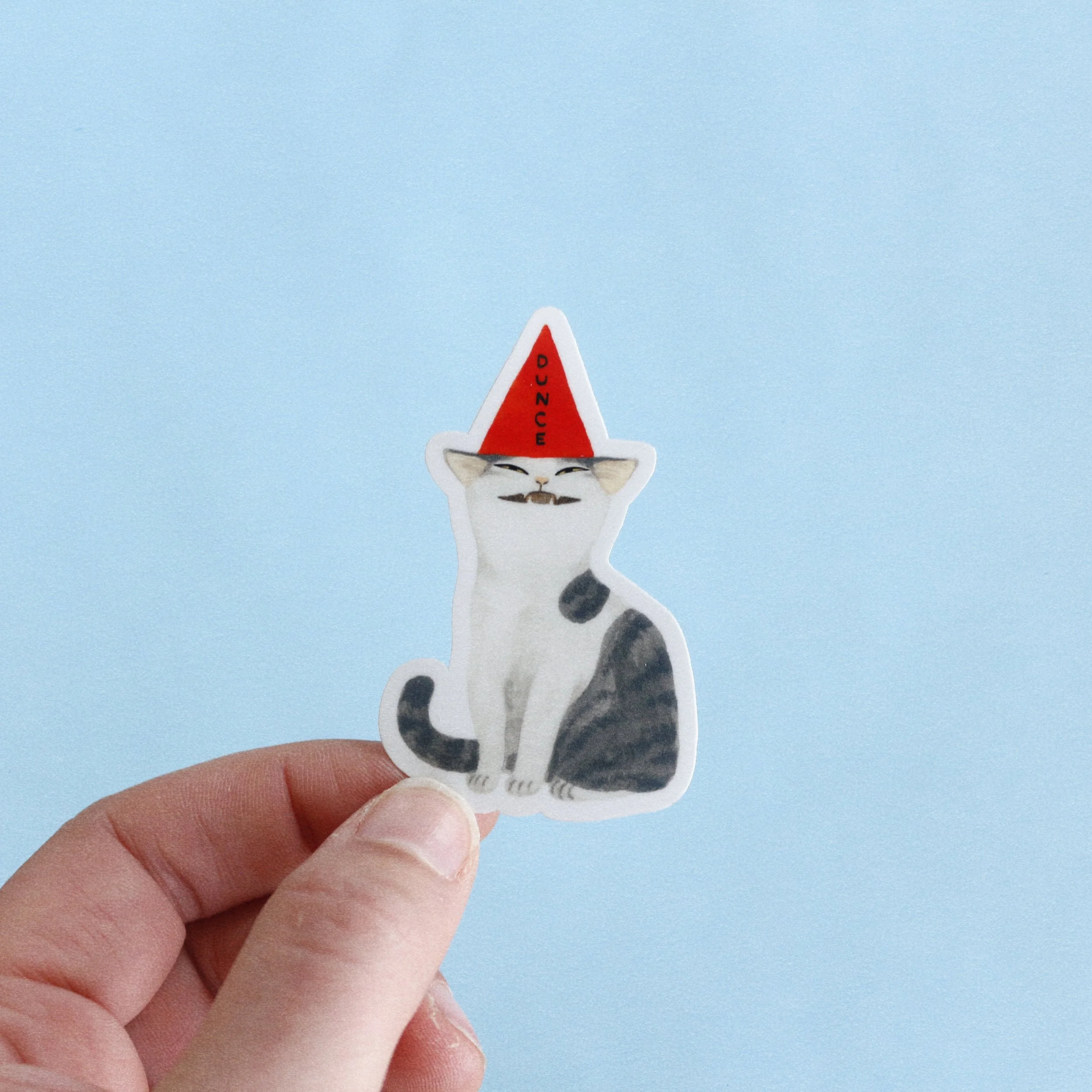 Dunce Cat