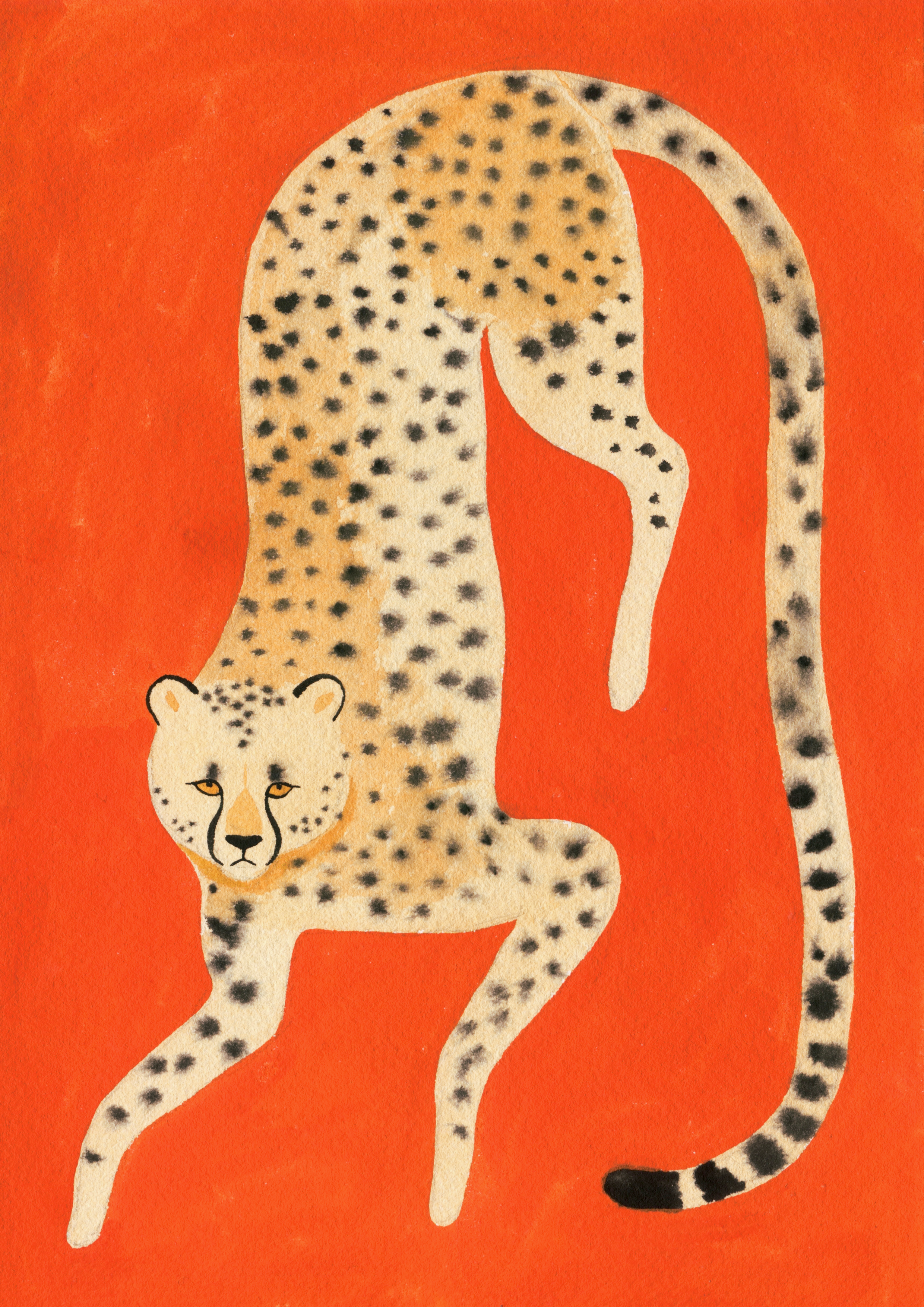 Spots.png