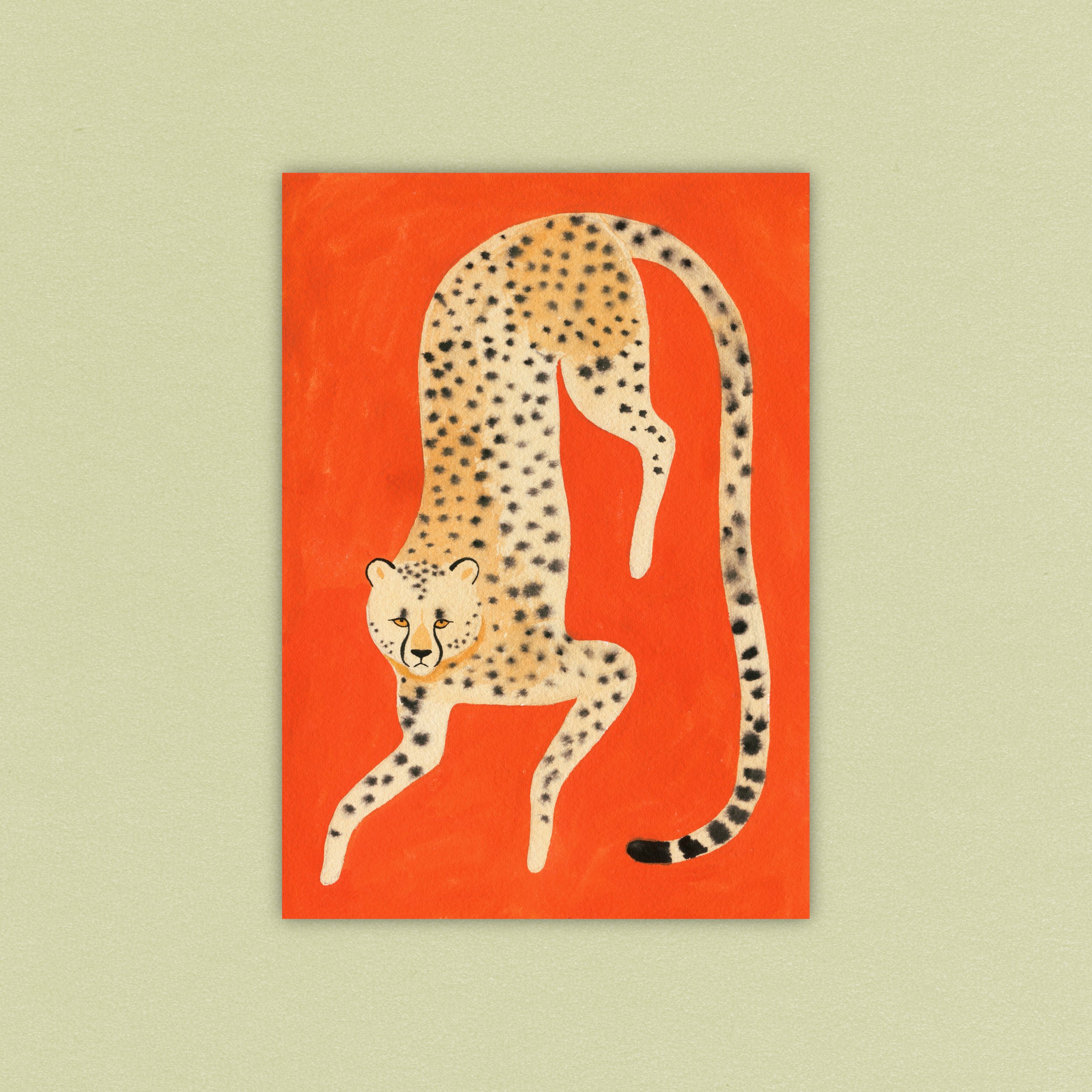 Cheetah Print