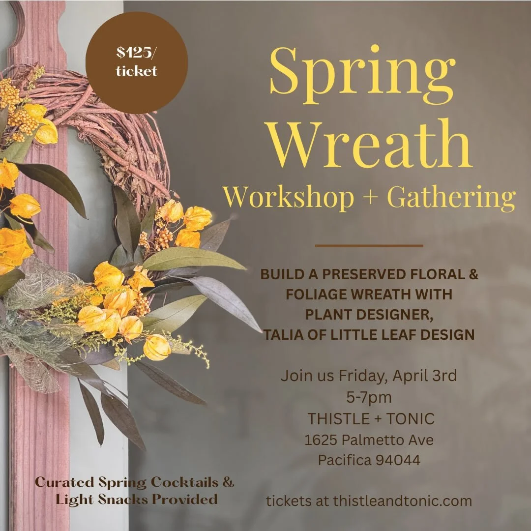 A lovely way to celebrate this glorious season of Spring.🌿 Every piece of land seems to be blooming with color and new life and our sunny days feel like mother nature really likes to spoil us. ☺️

I would love if you joined me in my new space @thist
