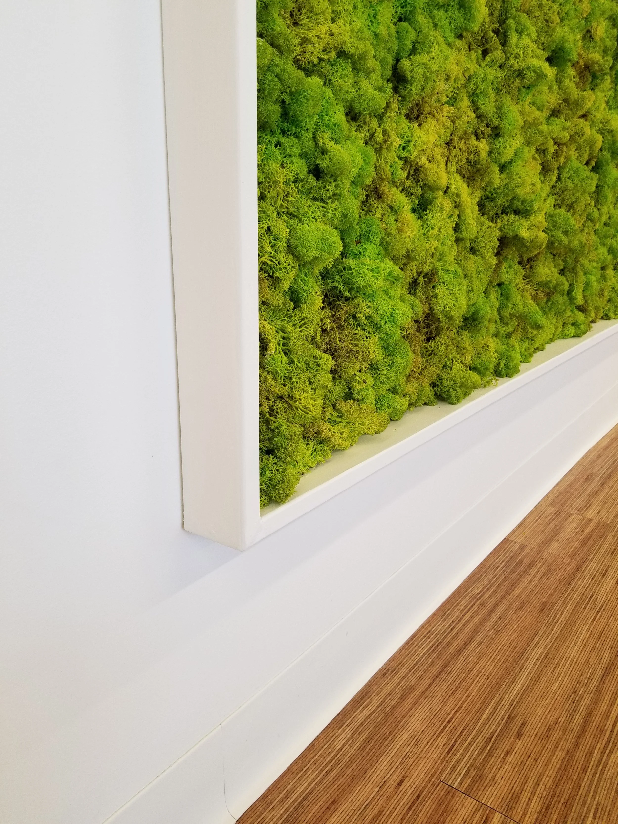 white moss frame.jpg