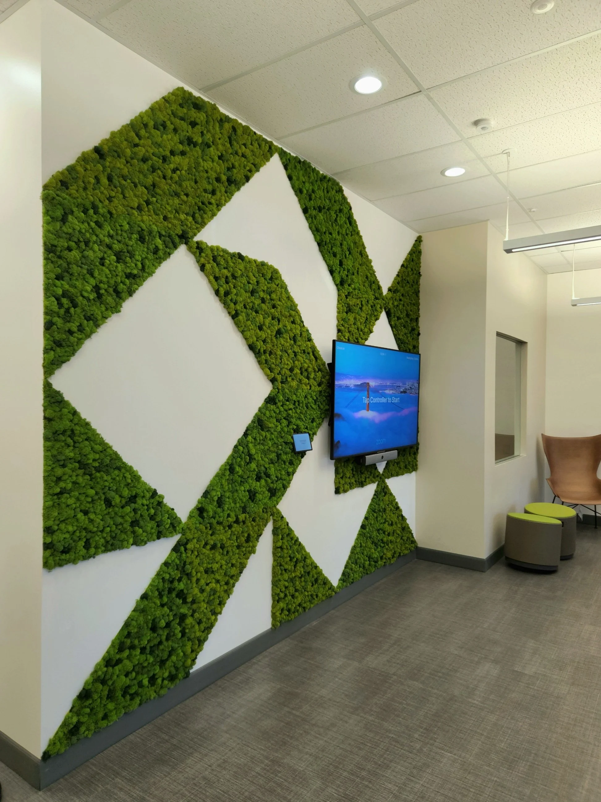 triangles moss wall.jpg