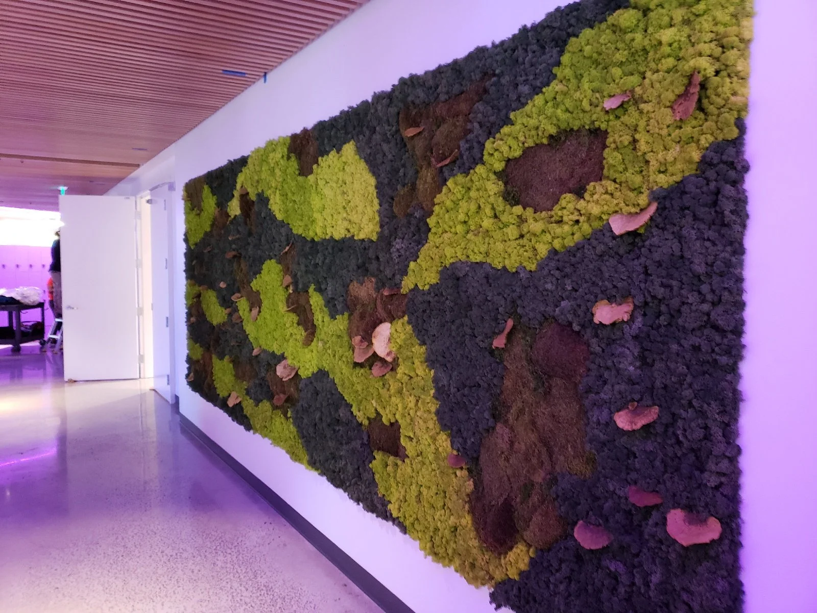 paypal moss wall.jpg