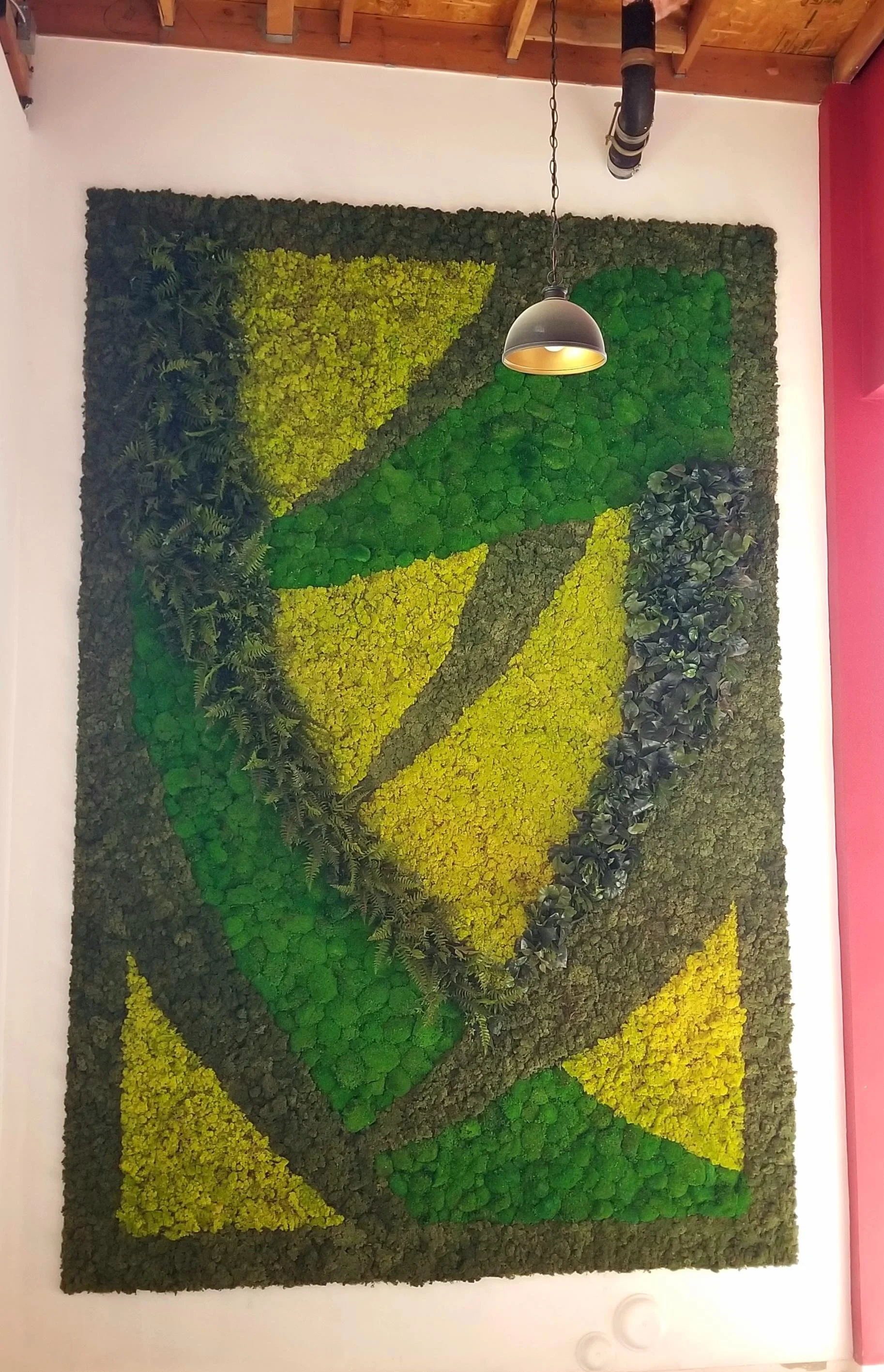 sharp curves and faux foliage.jpg