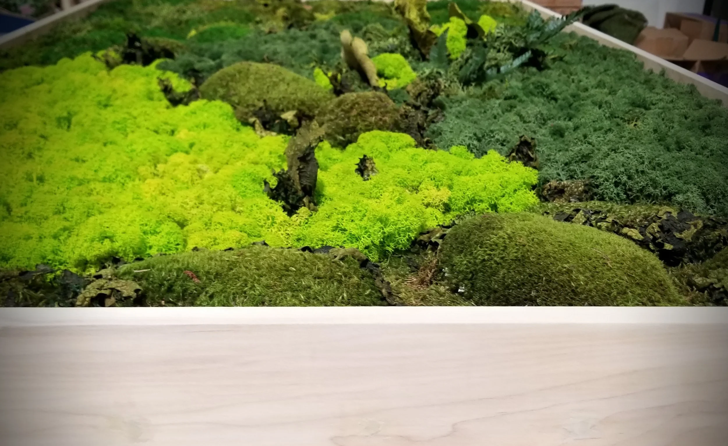 Moss natural frame.jpg