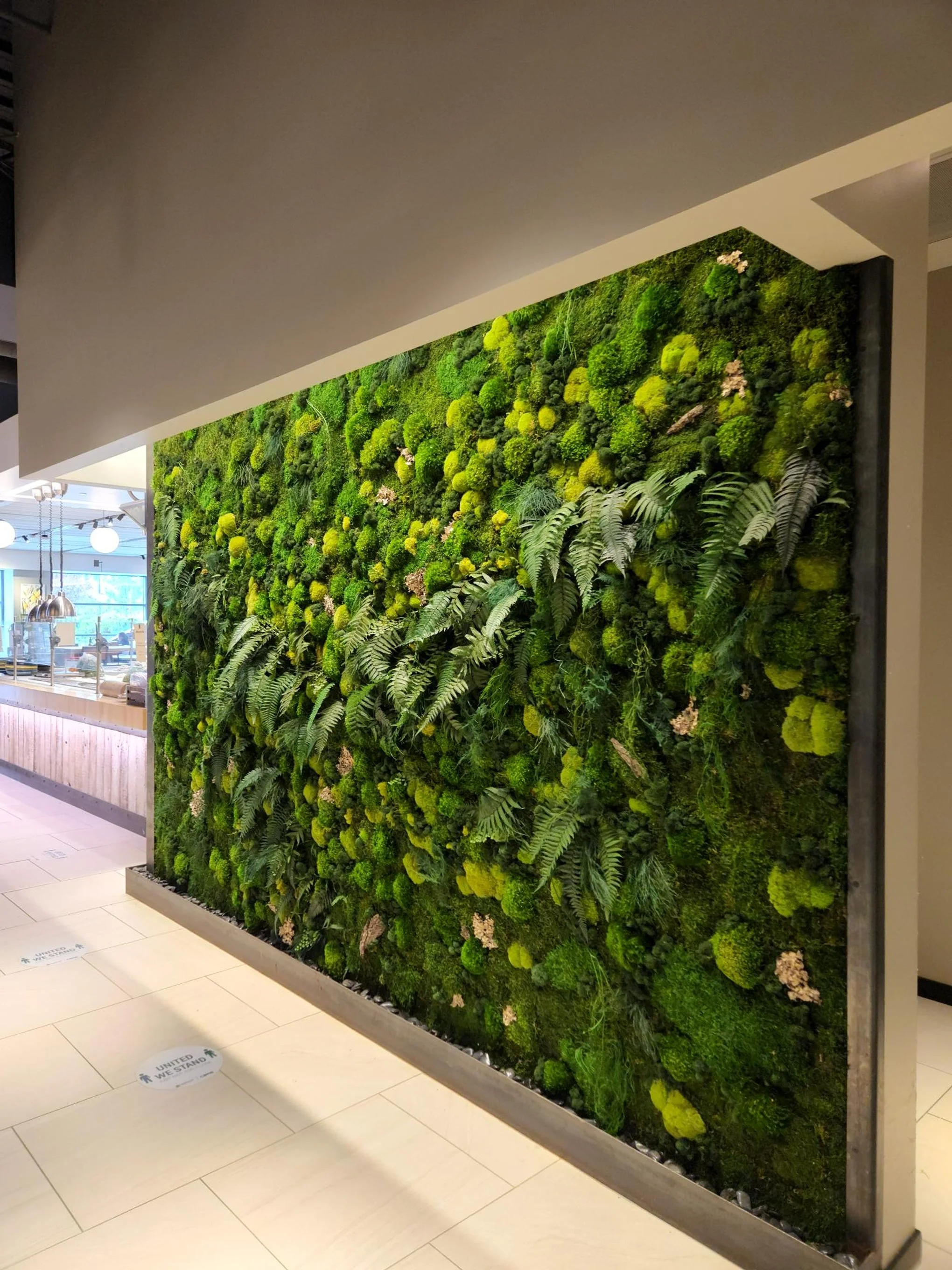 moss with ferns natural lush wall.jpg