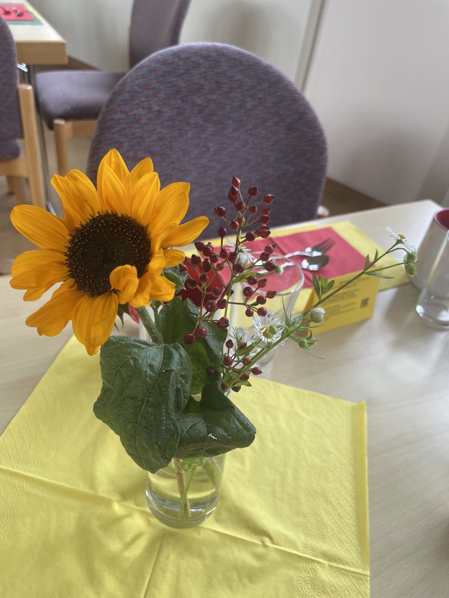 KaffeeSonnenblume.jpeg