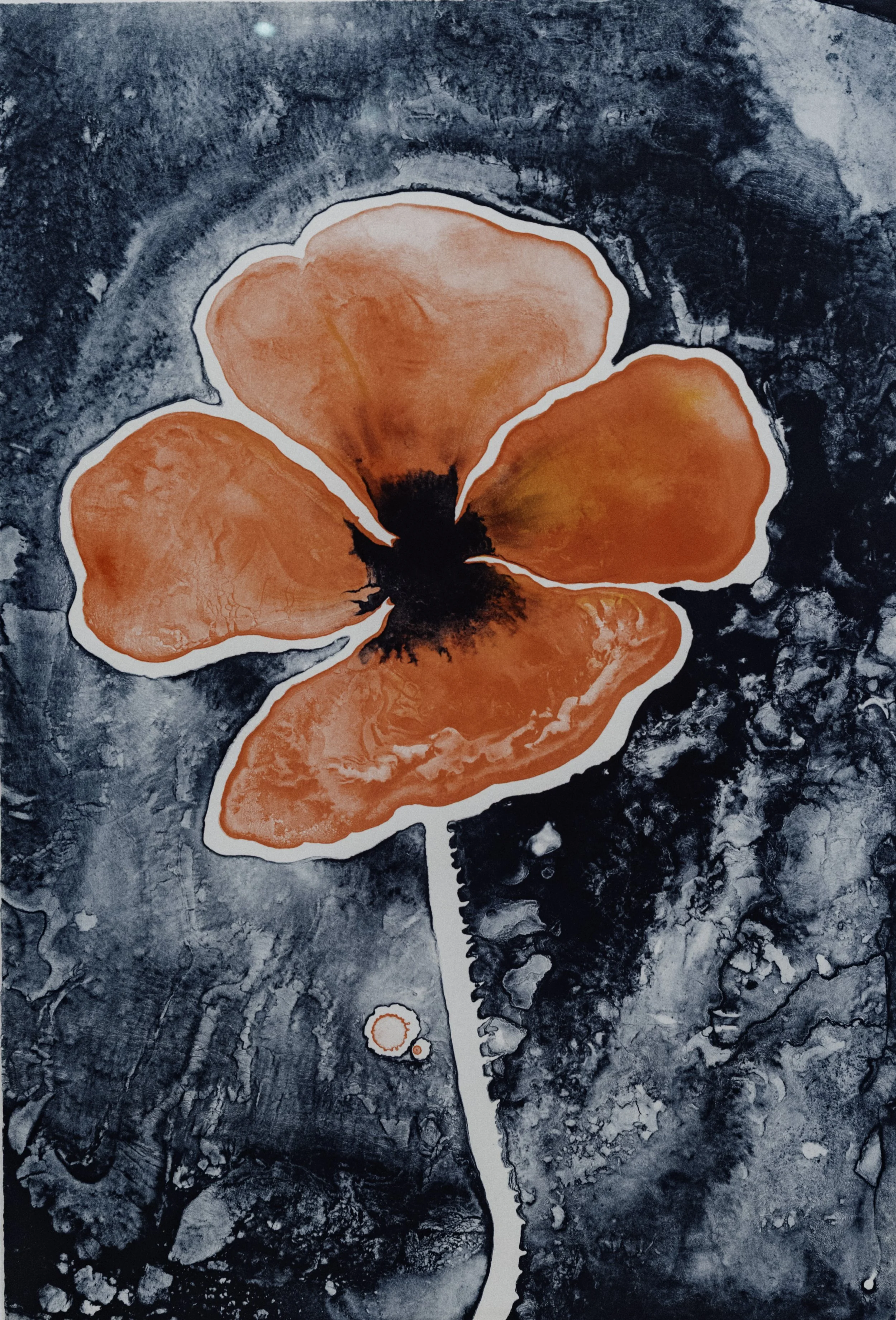 1X3A1918.jpg