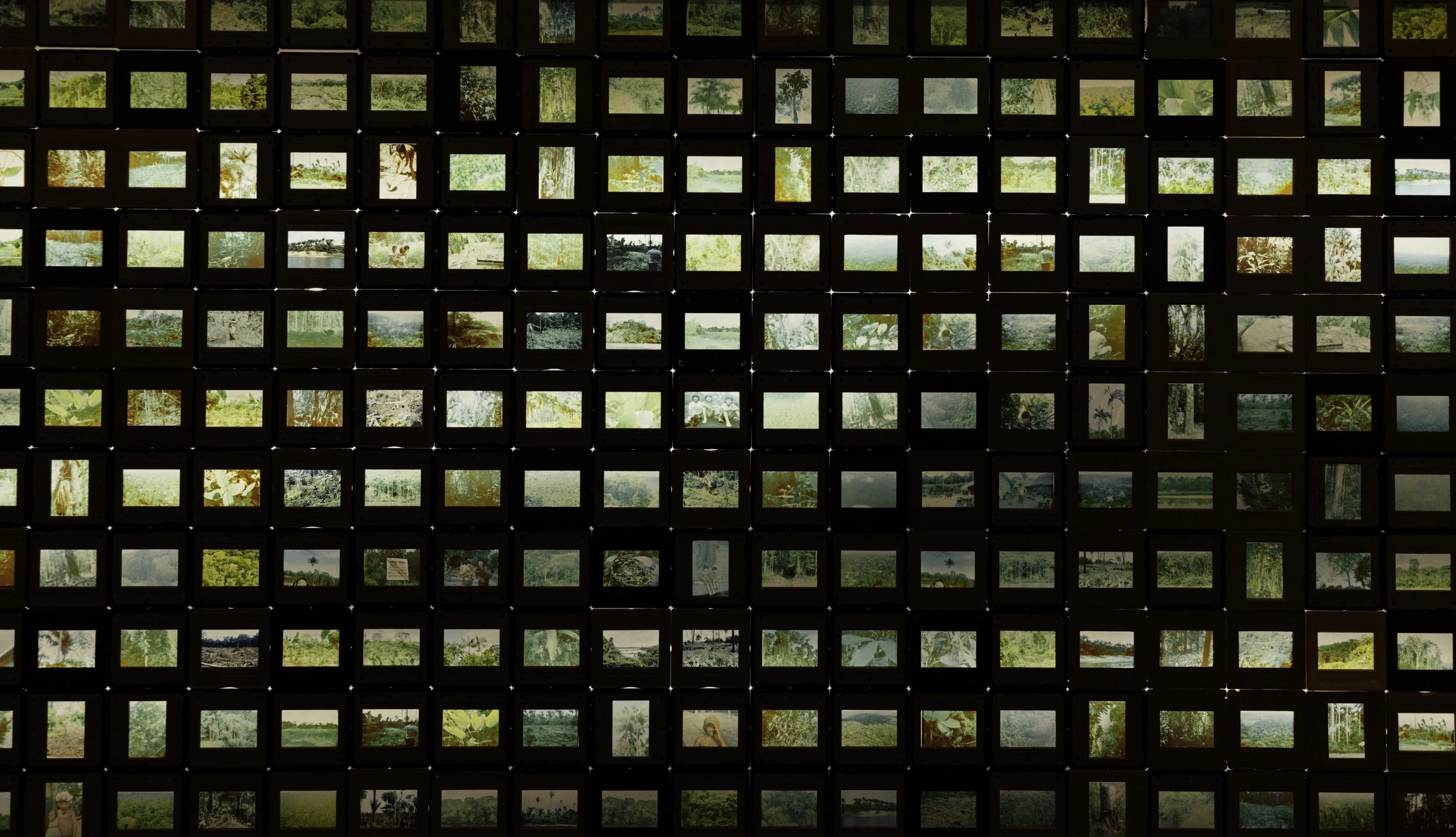 1X3A1947.jpg
