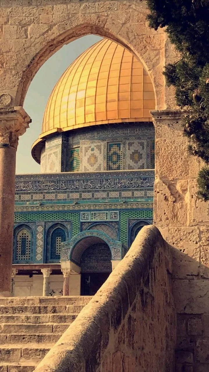 When the World Expects You to Move On: Palestinian Grief, Trauma, and Sumud