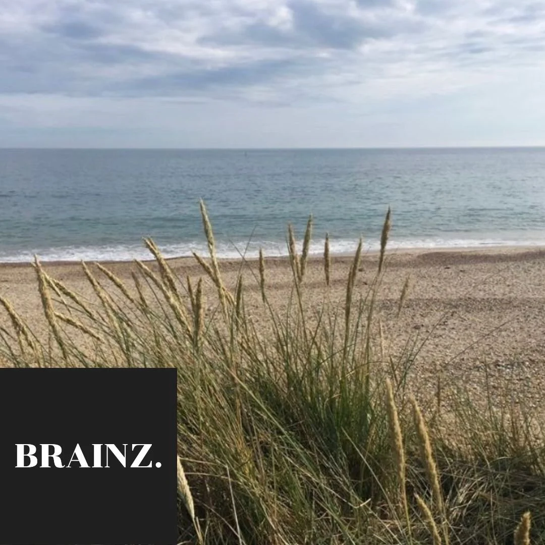 A view out to see with rolling clouds from behind grasses at the edge of the beach