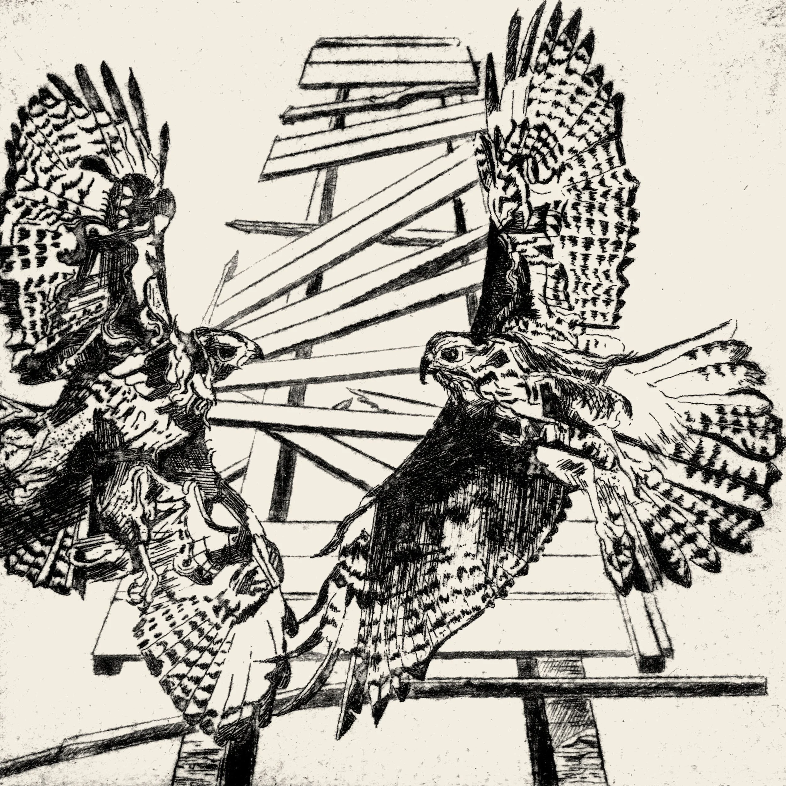 two hawks digital cover 3000 x 3000 72dpi-01.jpg