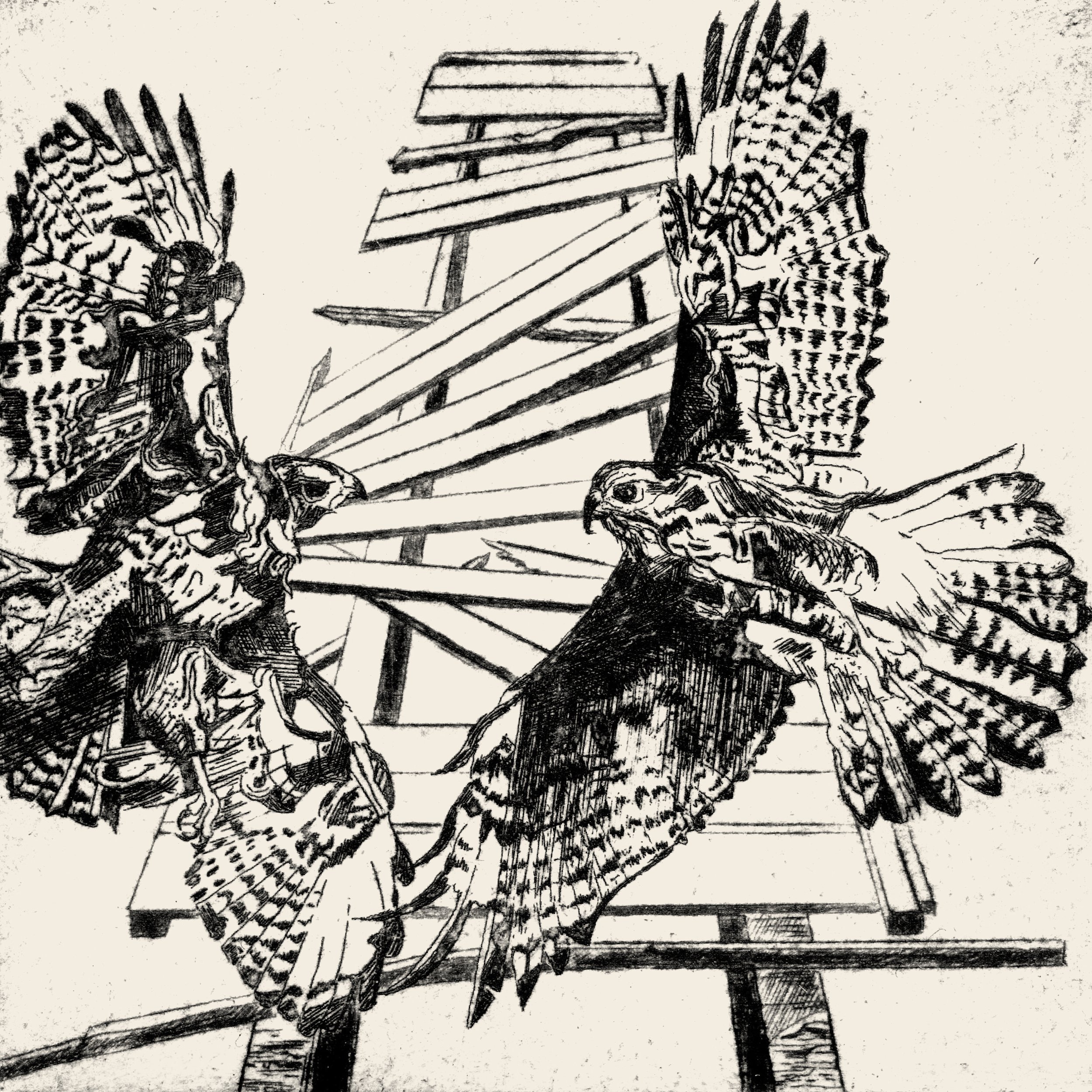 two hawks digital cover 3000 x 3000 72dpi-01.jpg