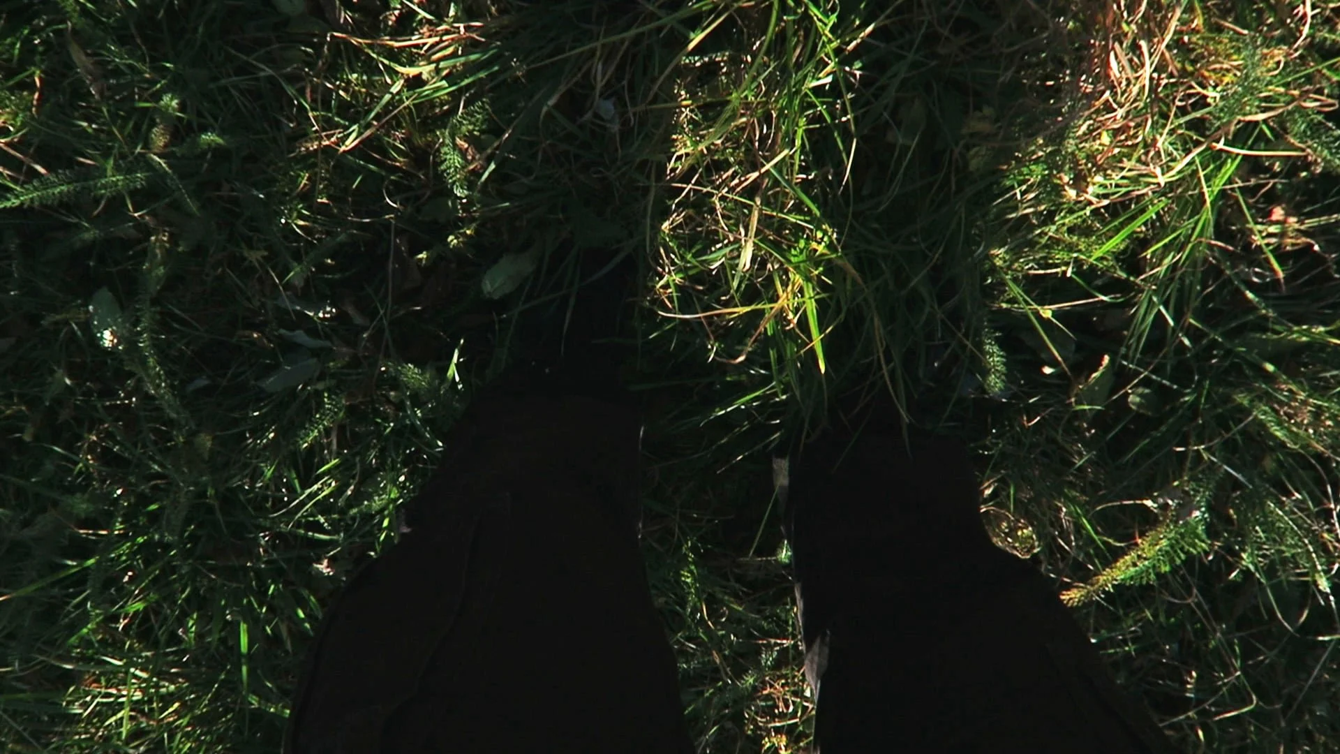 Med ryggen mot solen - 2017 - 00:04:47