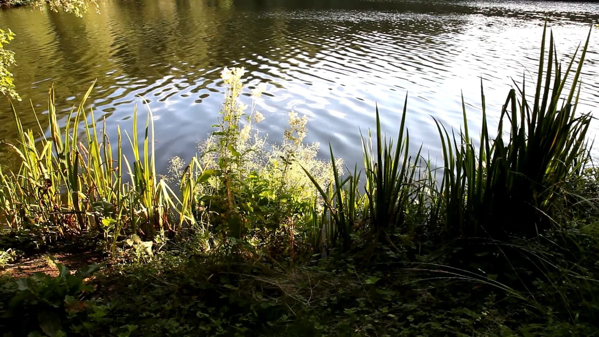 Instant Memory untexted - 2016 - 00:07:27