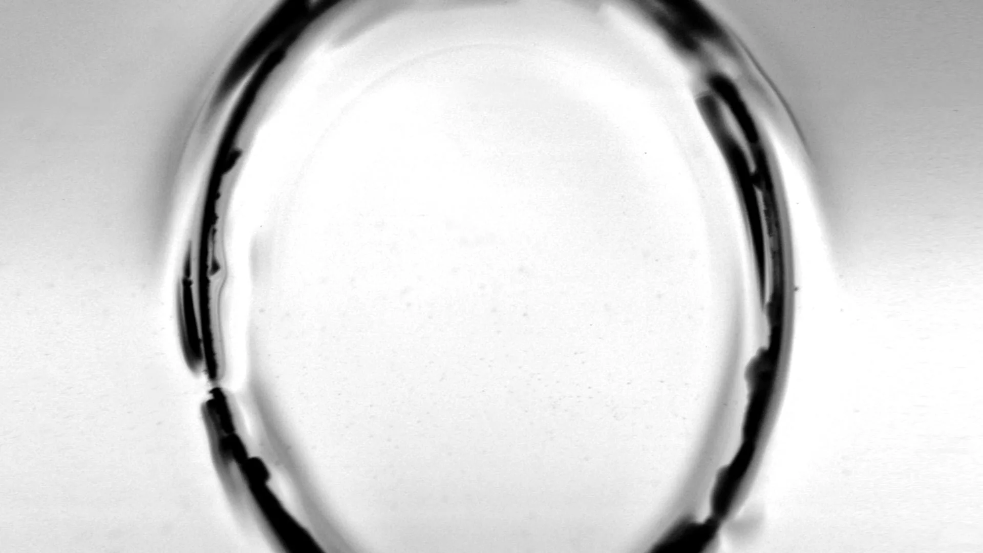 Syv korte videoer - 2020 - 00:13:27