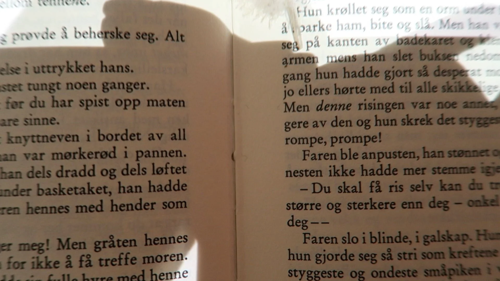 stamp - 2023 - 00:02:47