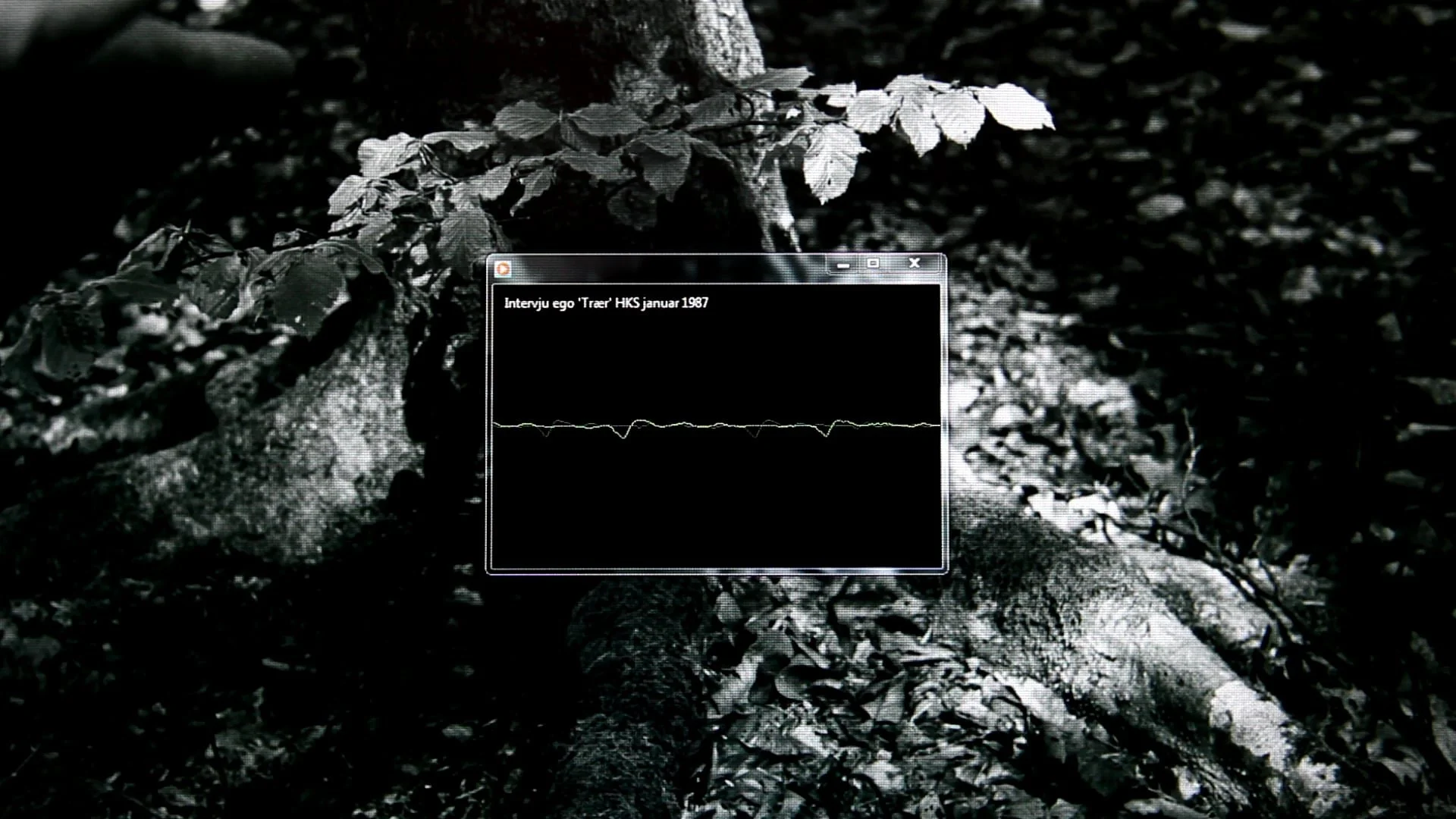 Radiointervju utstilling Trær HKS 1987 - 00:07:45