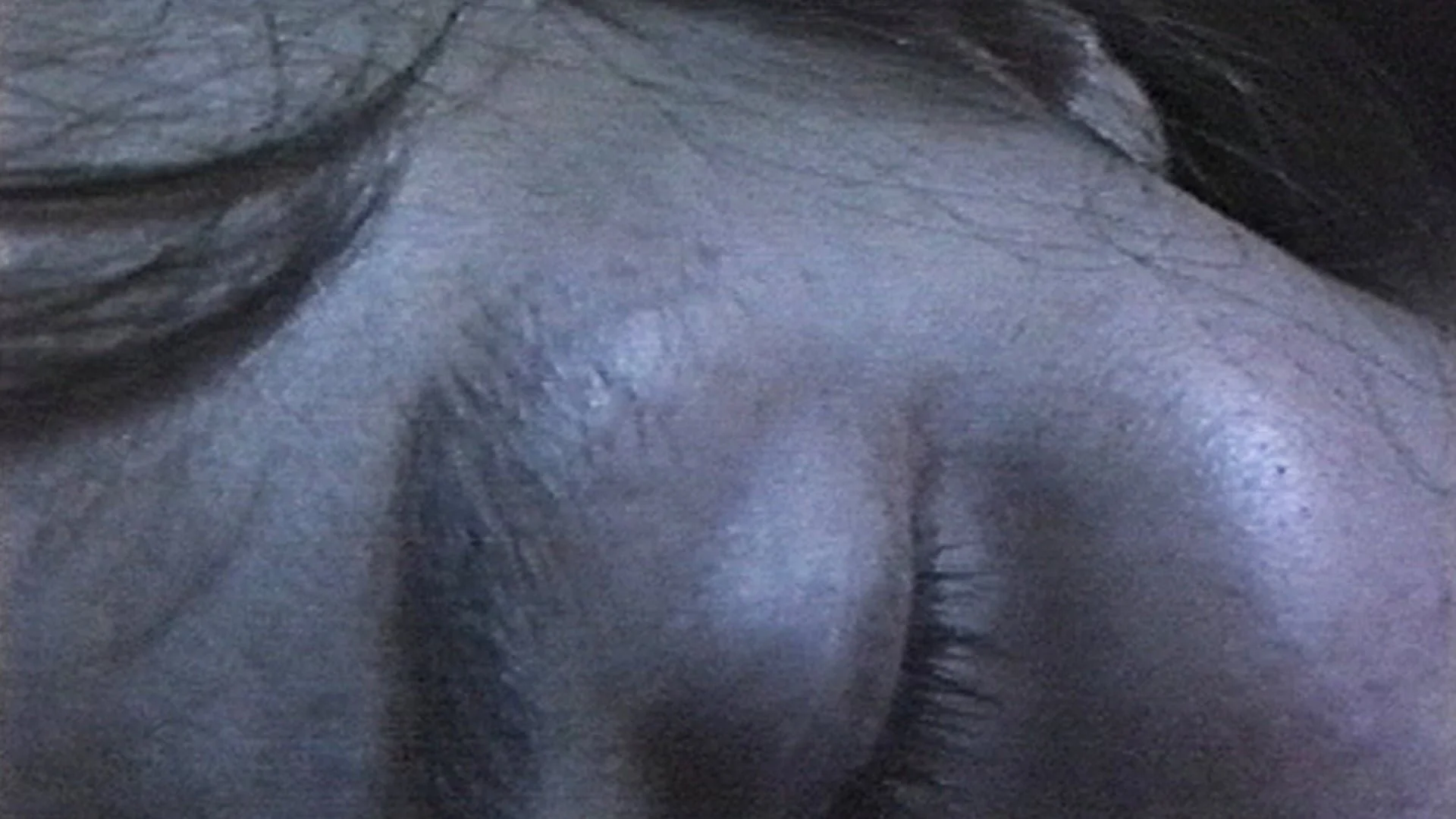 Kysser i skogen untexted - 1991- 00:22:40