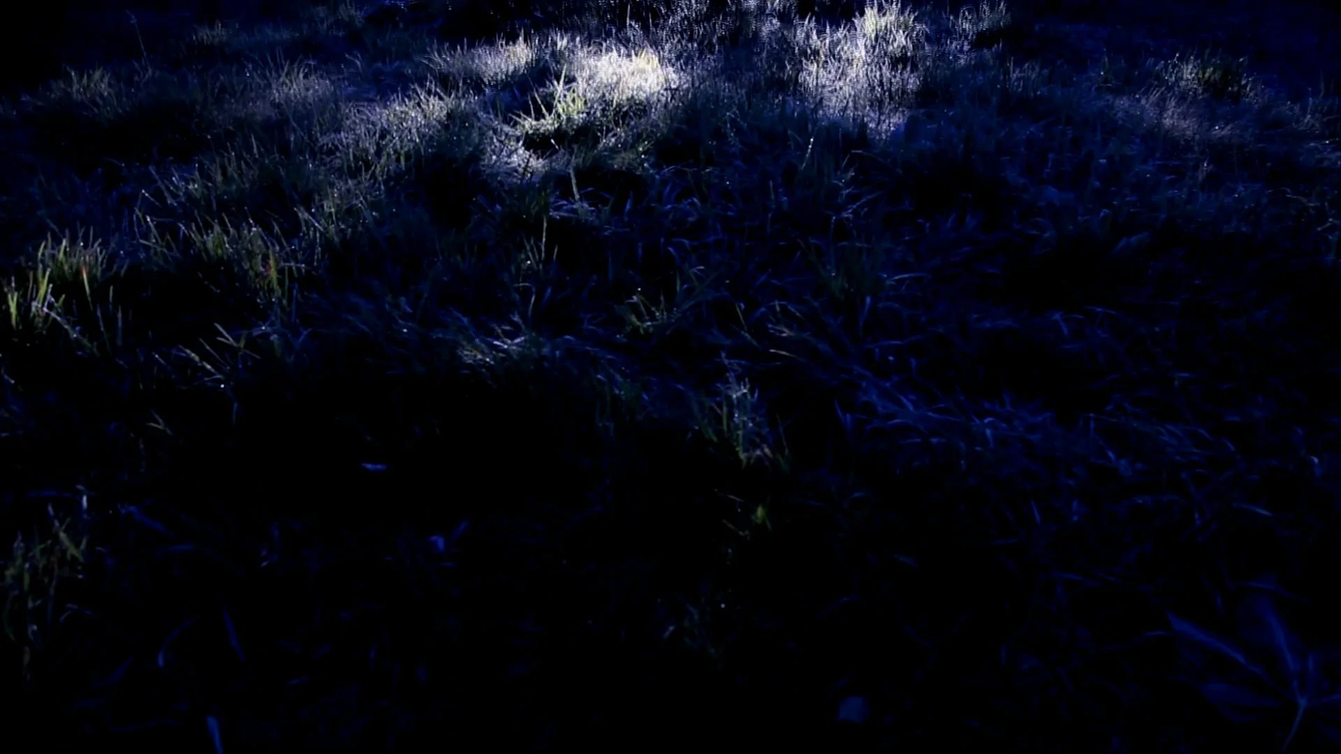 Med føttene i gresset - 2019 - 00:01:37