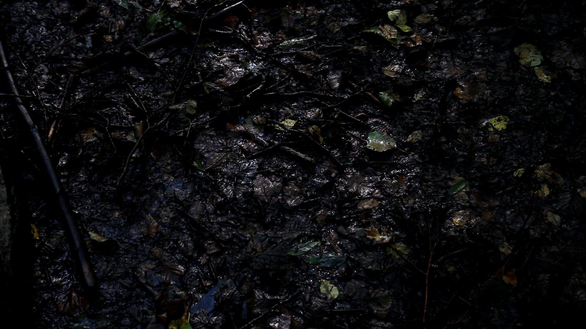 Absence Present English subtitles - 2015 - 00:17:00