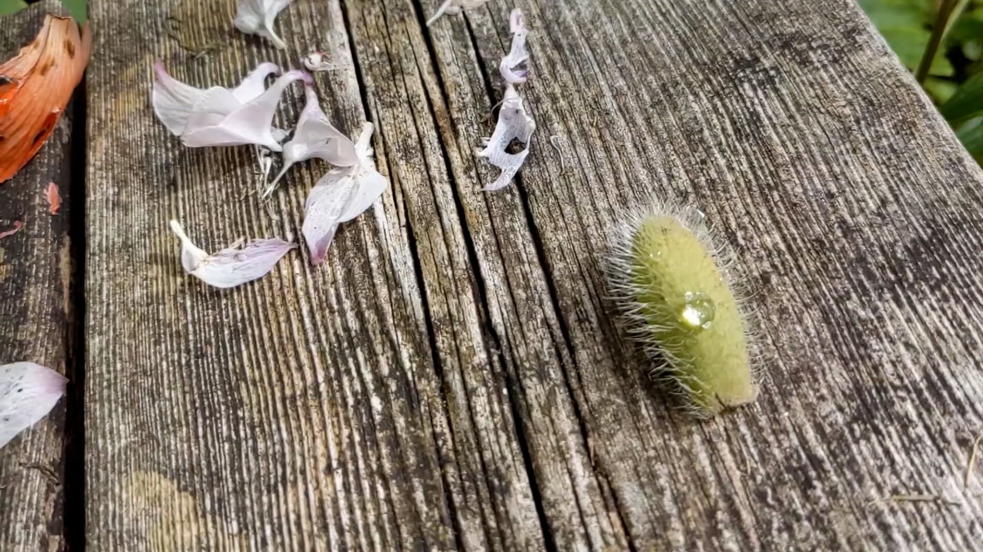 Tre døgn 02 - 2022 - 00:28:07