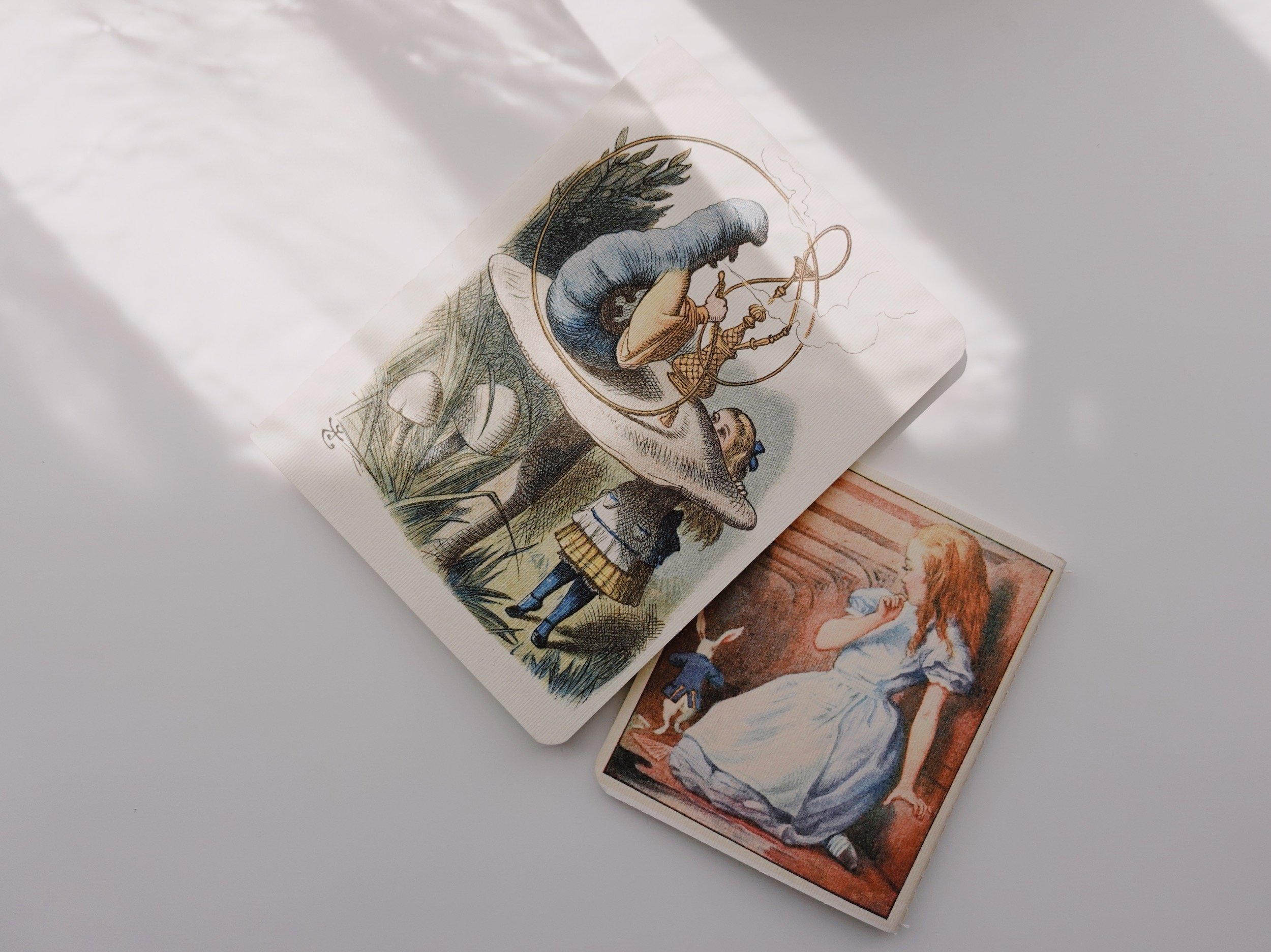 Alice in Wonderland set of two notebooks.jpg