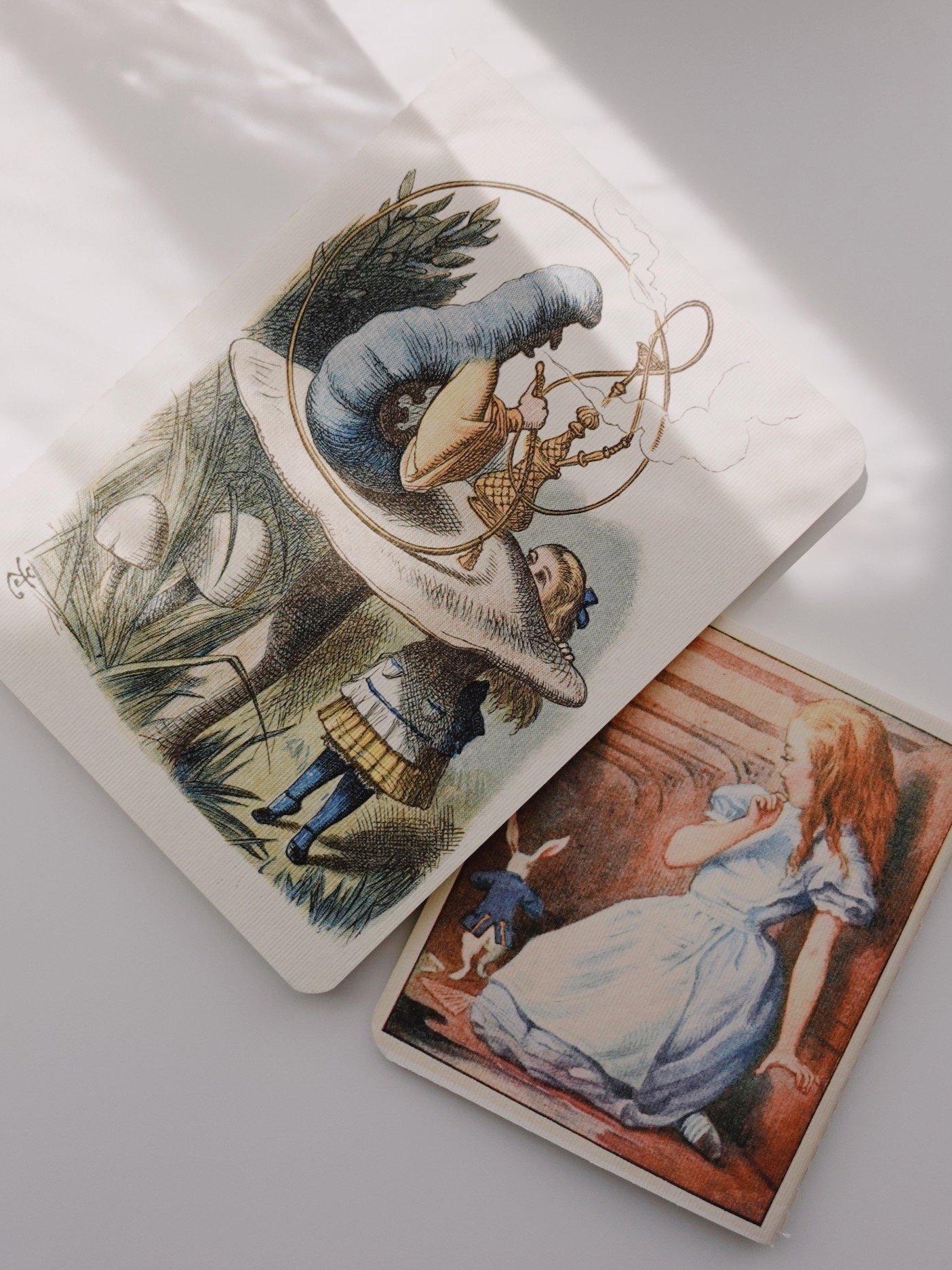 Set of 2 notebooks — Down the Rabbit-hole