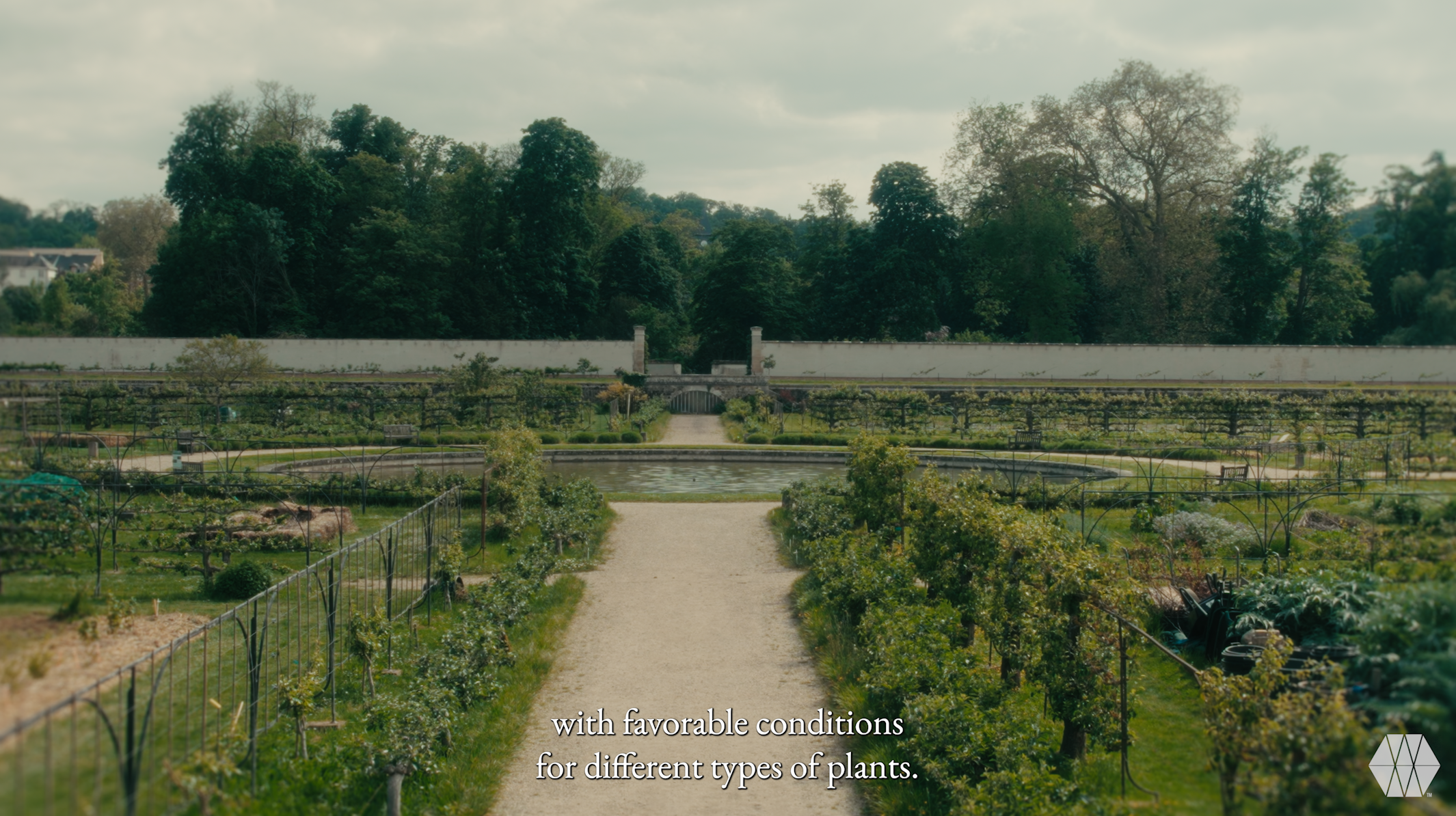Potager2-3.png