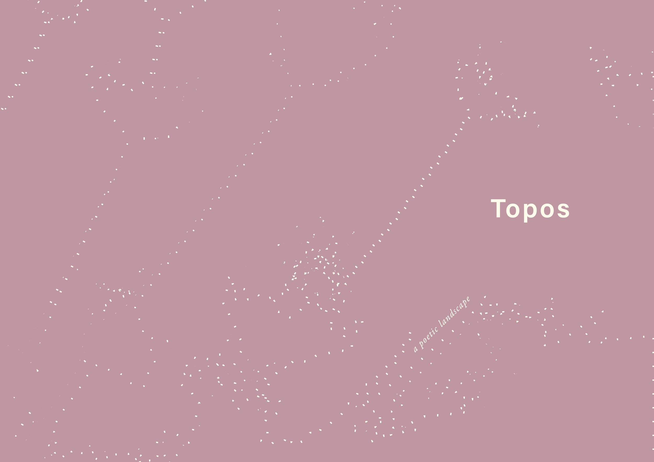 NEW TOPOS ZINE FRONT COVER.jpg