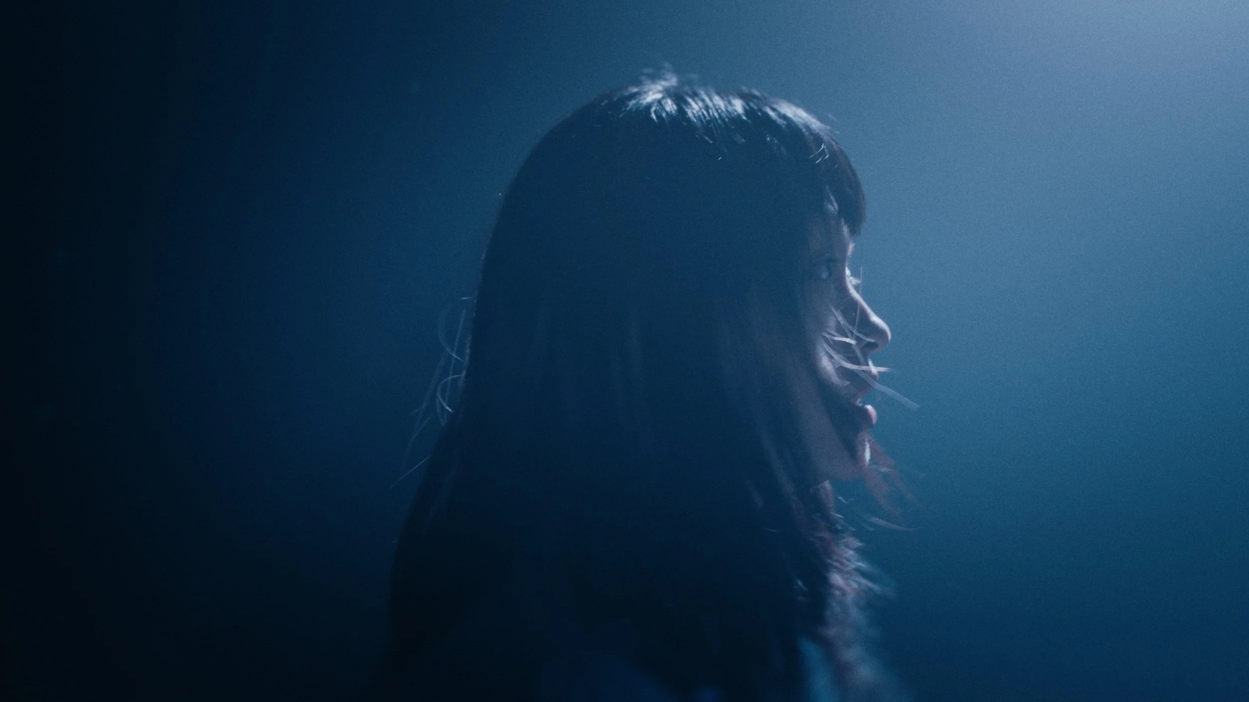 Still 2025-12-29 122538_2.17.1.jpg