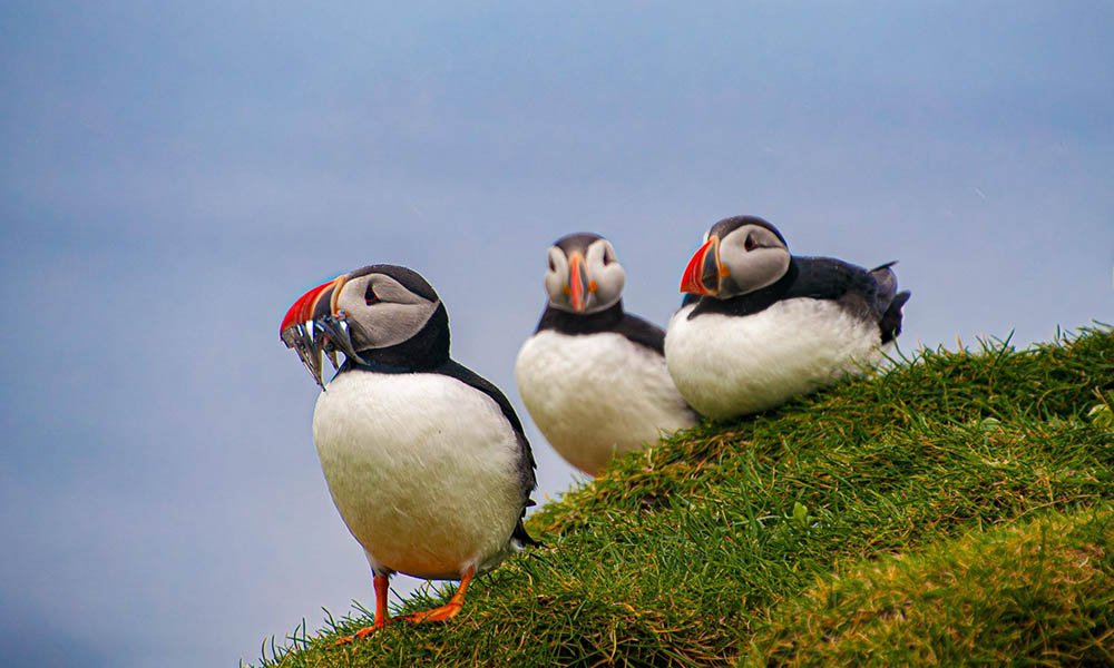 0003 20180806113923 copy.jpg