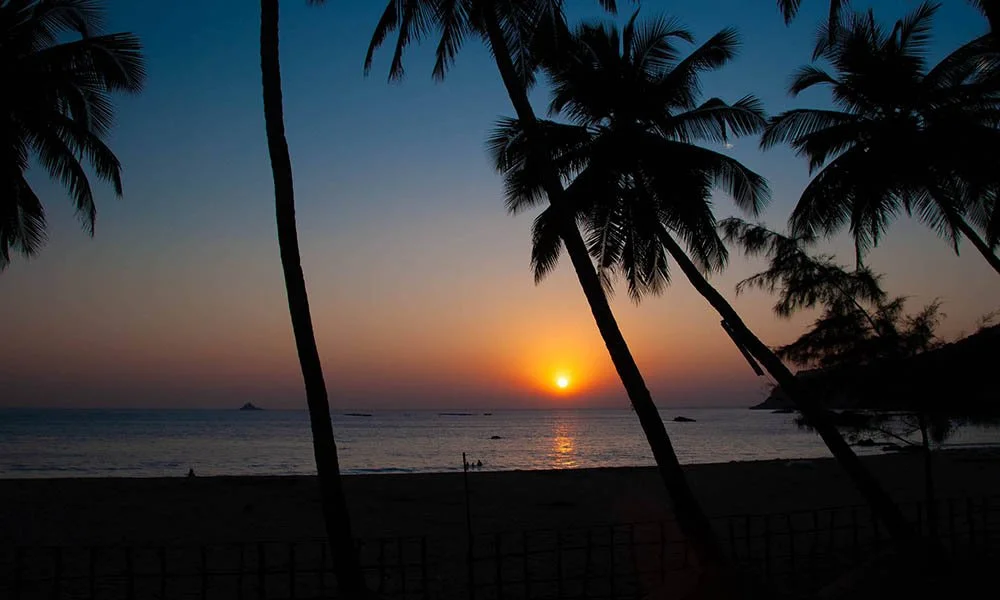 0006 20151229180308 copy.jpg