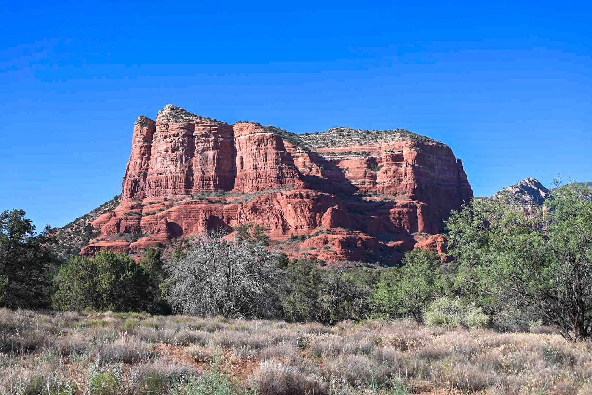June 17 - Saguaro cactus & Sedona