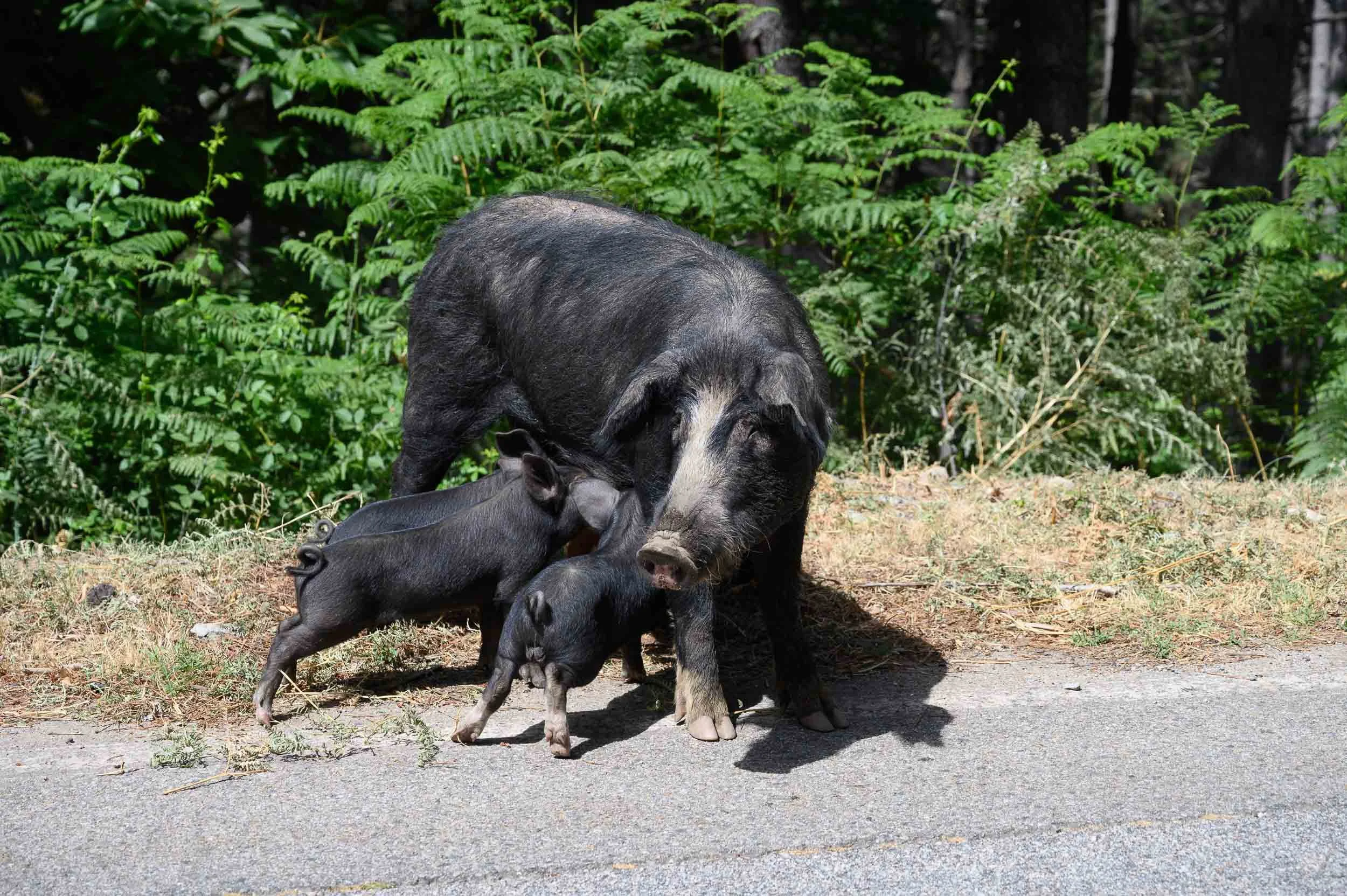 0022 20190707101249.jpg