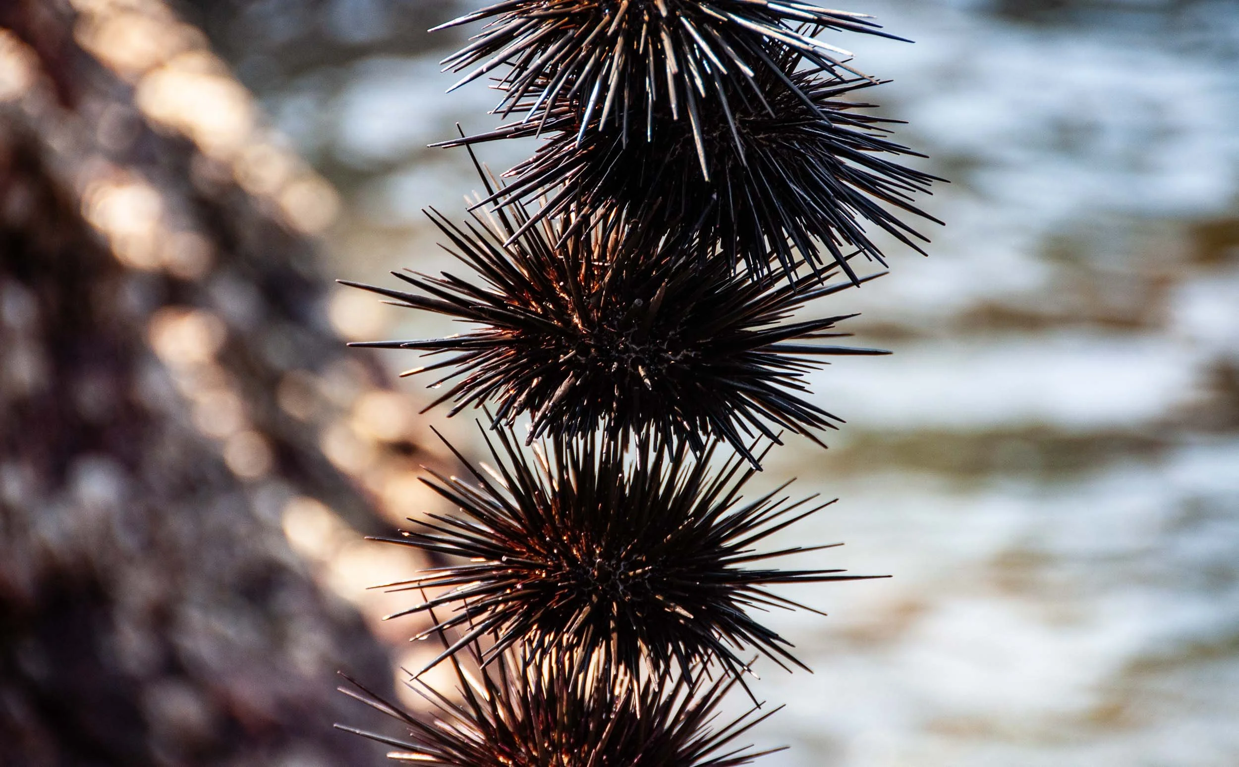 0009 20160103120558.jpg