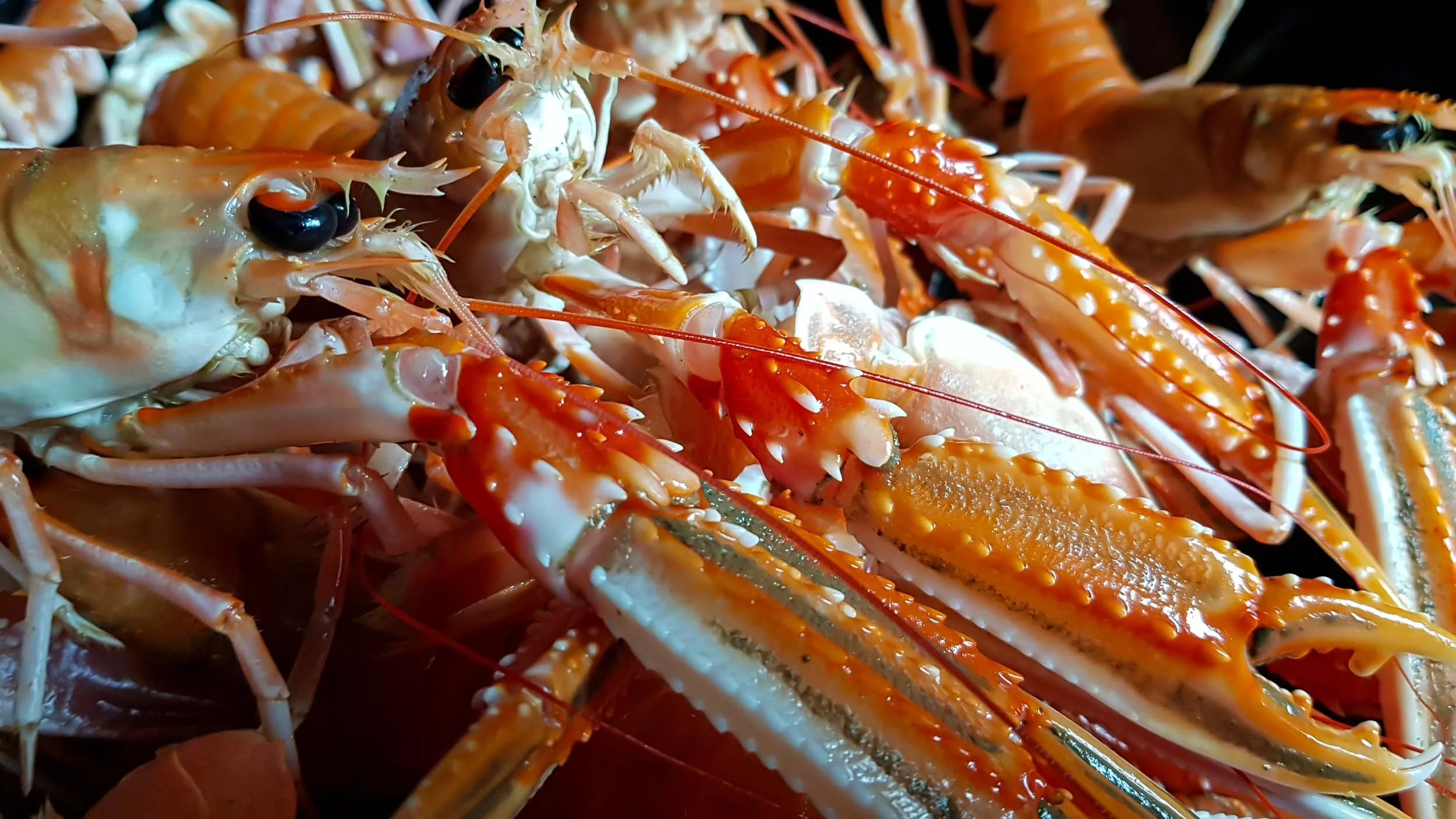 0018 20180329130808.jpg