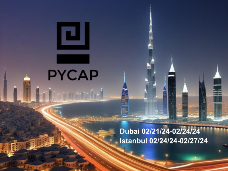 Pycap in Istanbul and Dubai - Exploring Venture Capital & Startup Visa ...