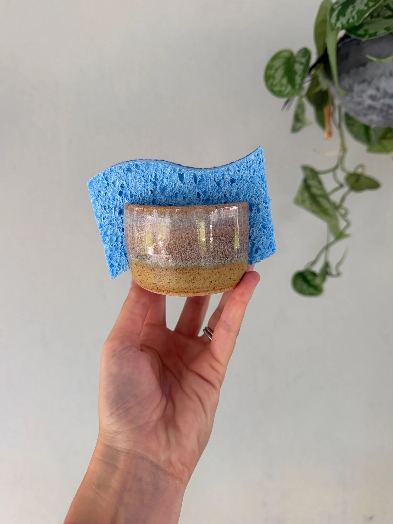 handmade-sponge-holder-charleston.jpg