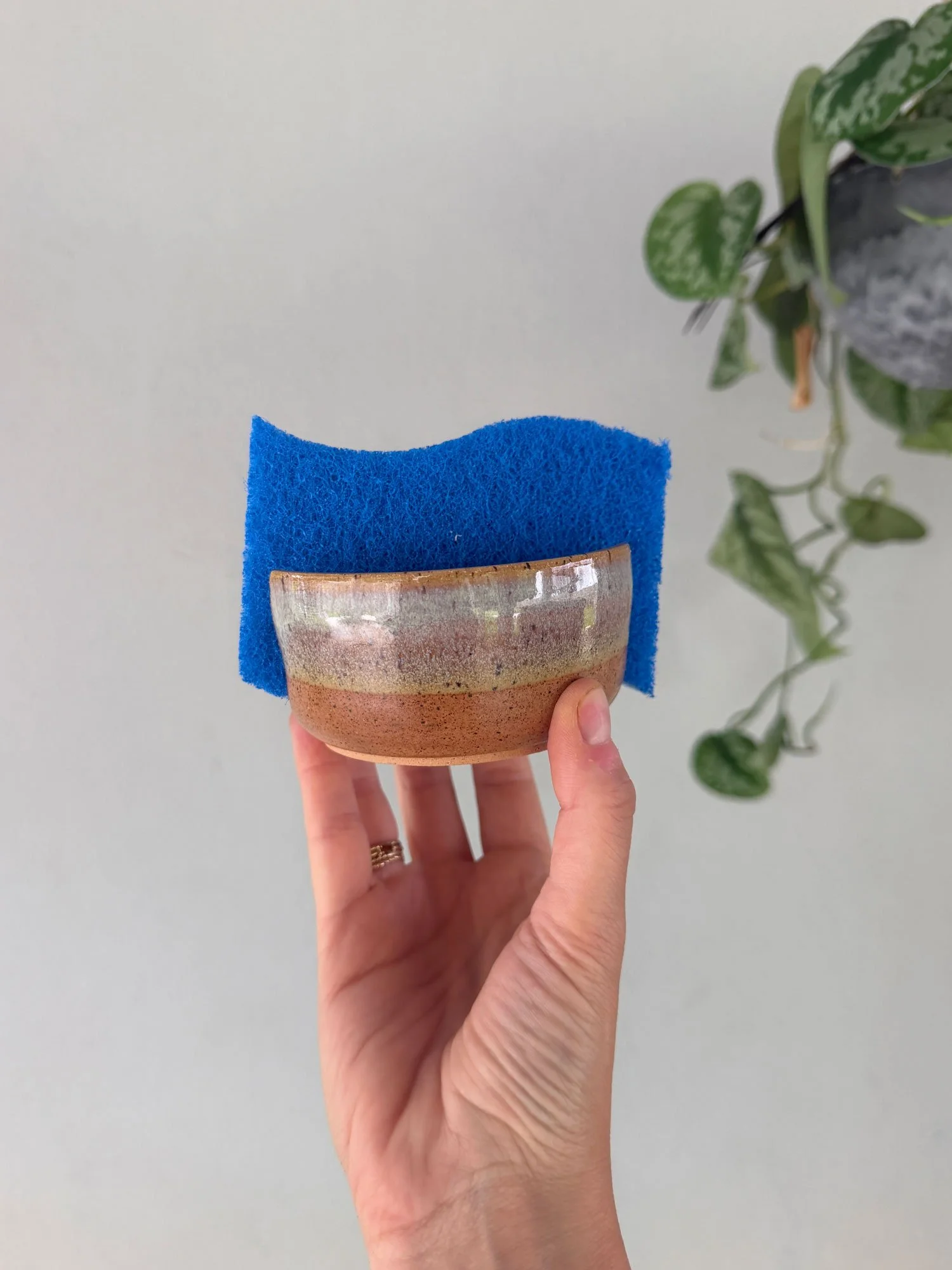 Pink Shorebreak Sponge Holder