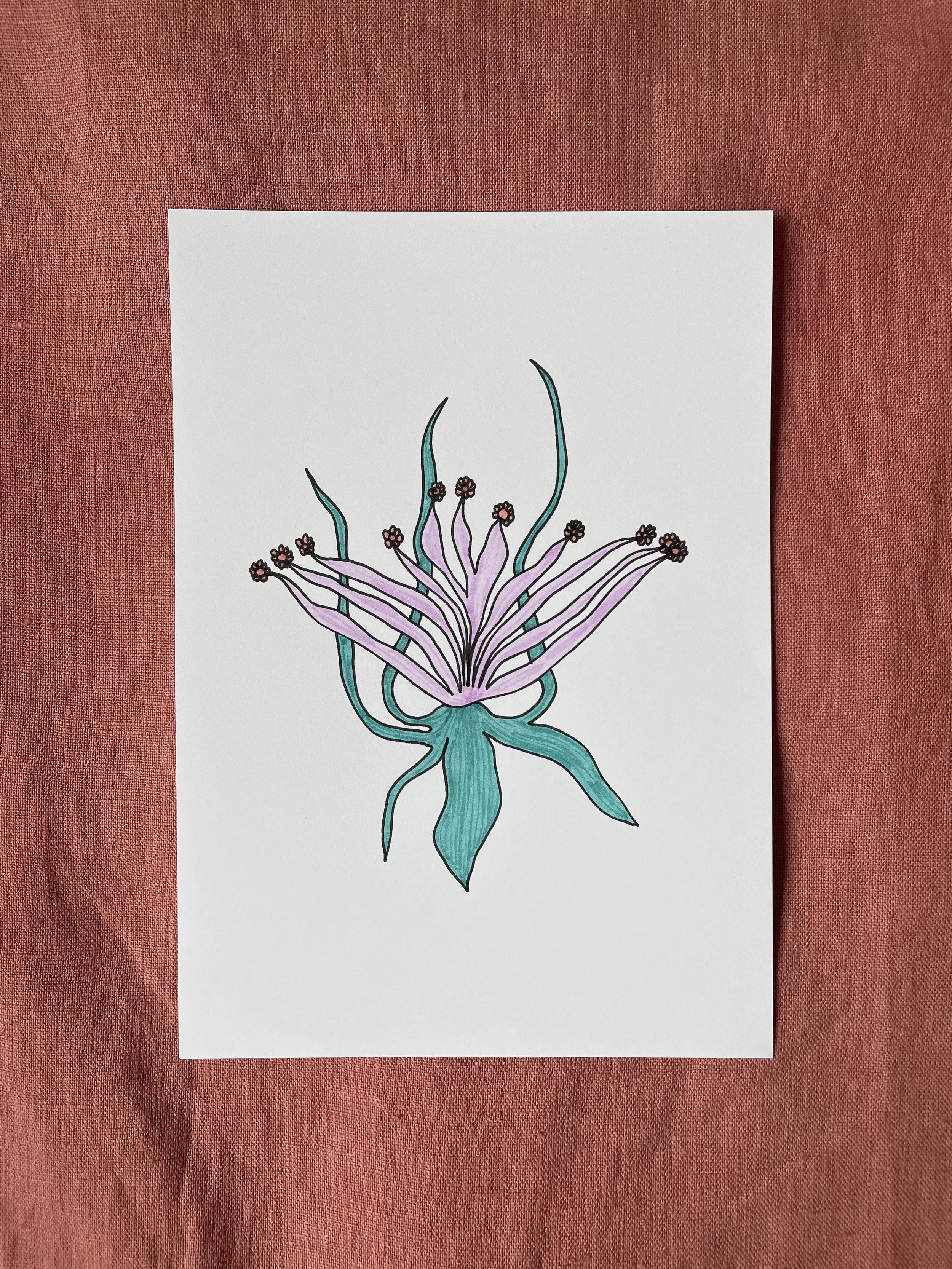 Blüte der Versöhnung