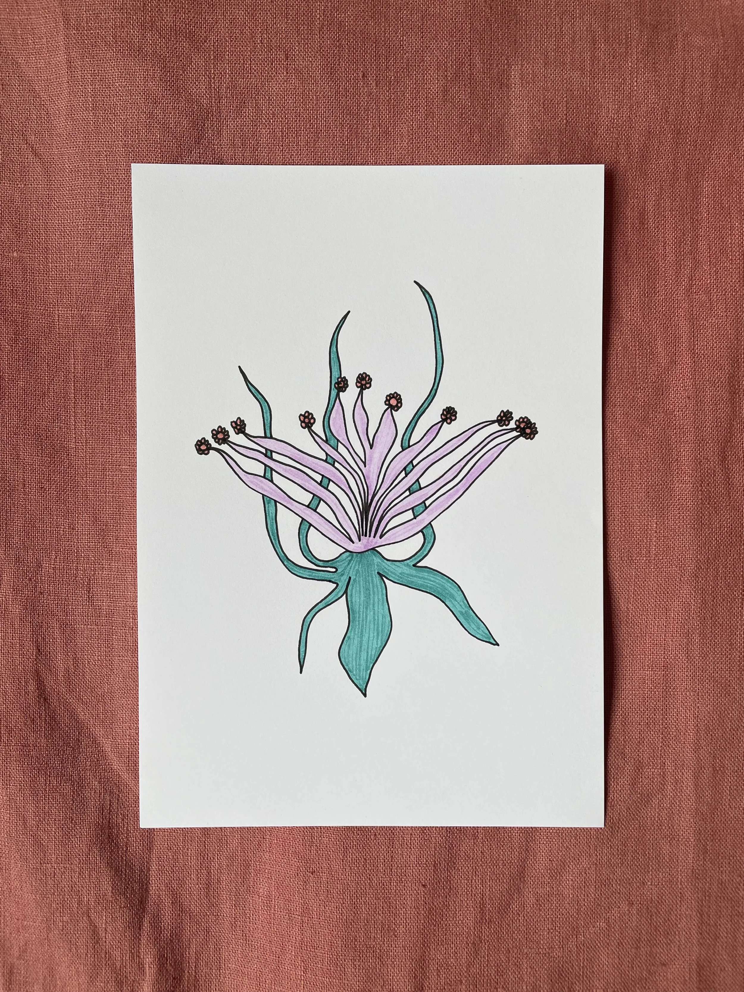 Blüte der Versöhnung 