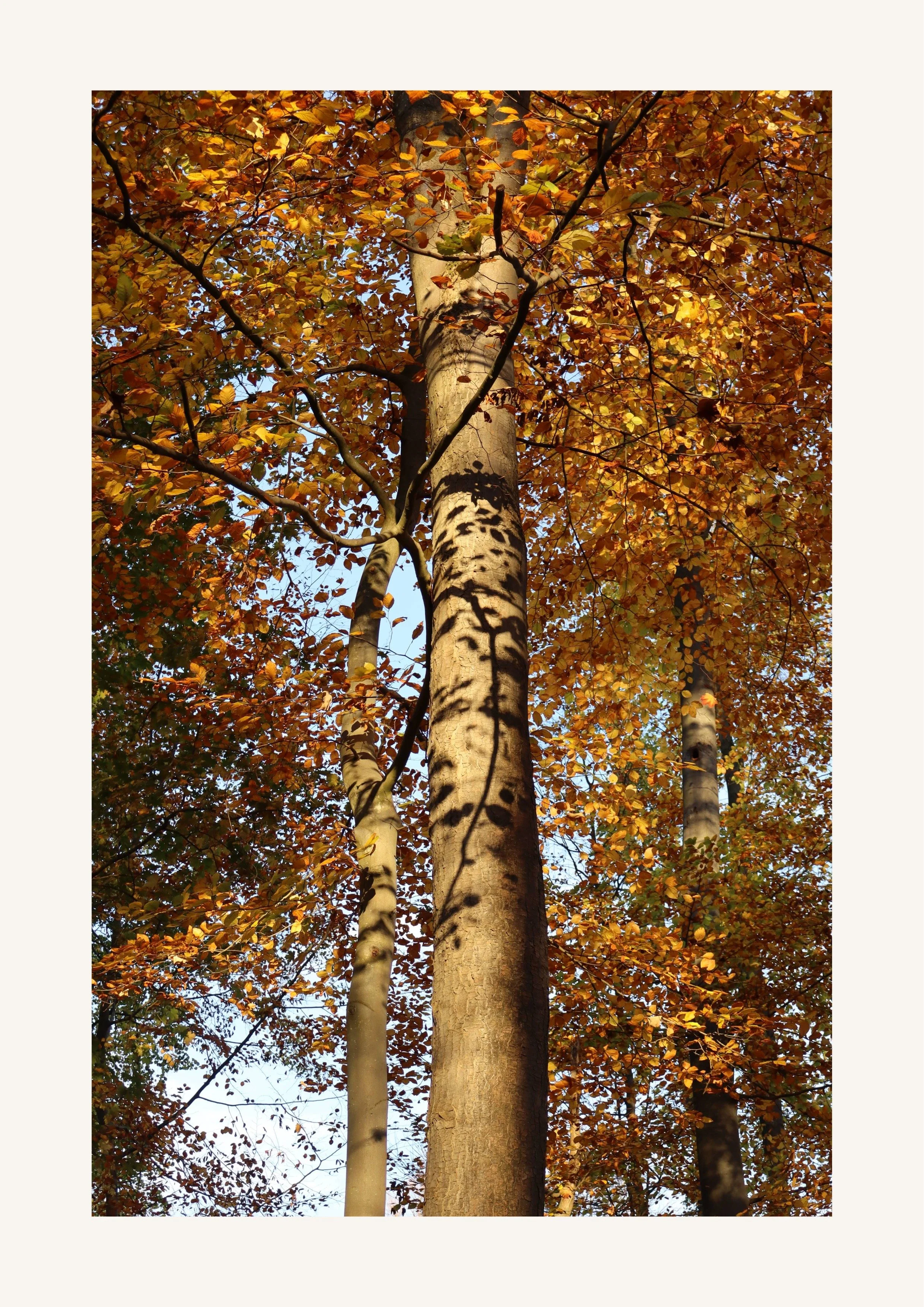 The Art Of Love-22.jpeg