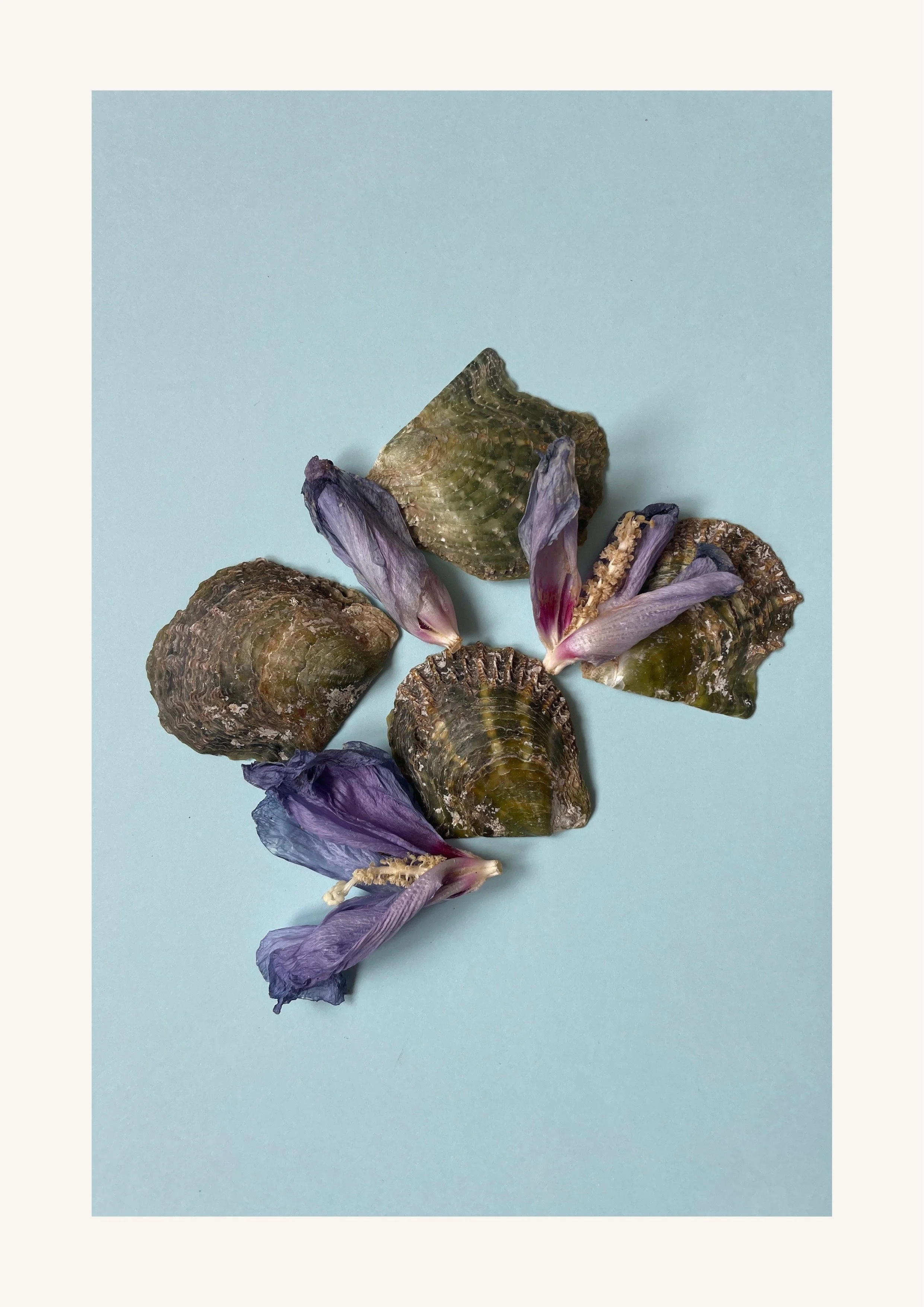 Das kosmische Rad-92.jpeg