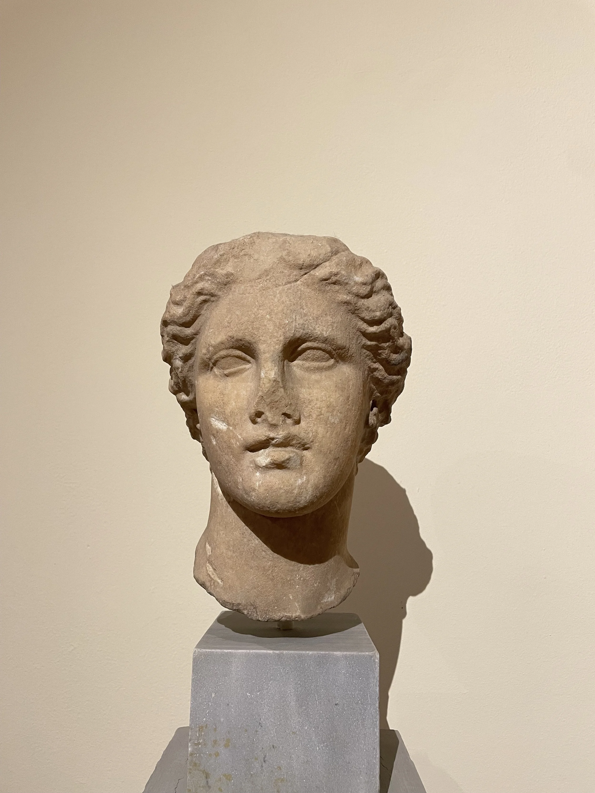 Head of Aphrodite